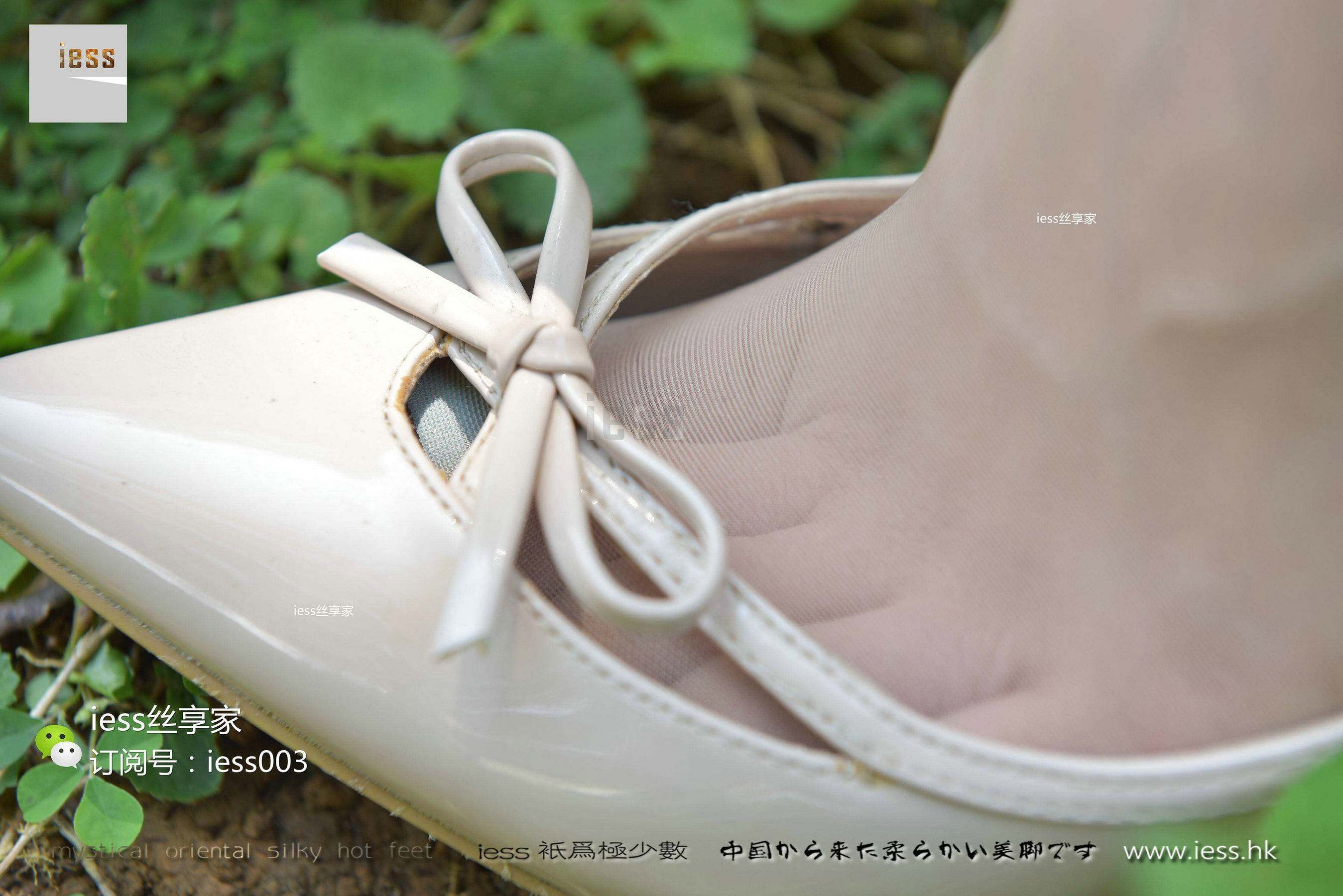 丝享家016 君君 《当肉丝邂逅阳光》-图22