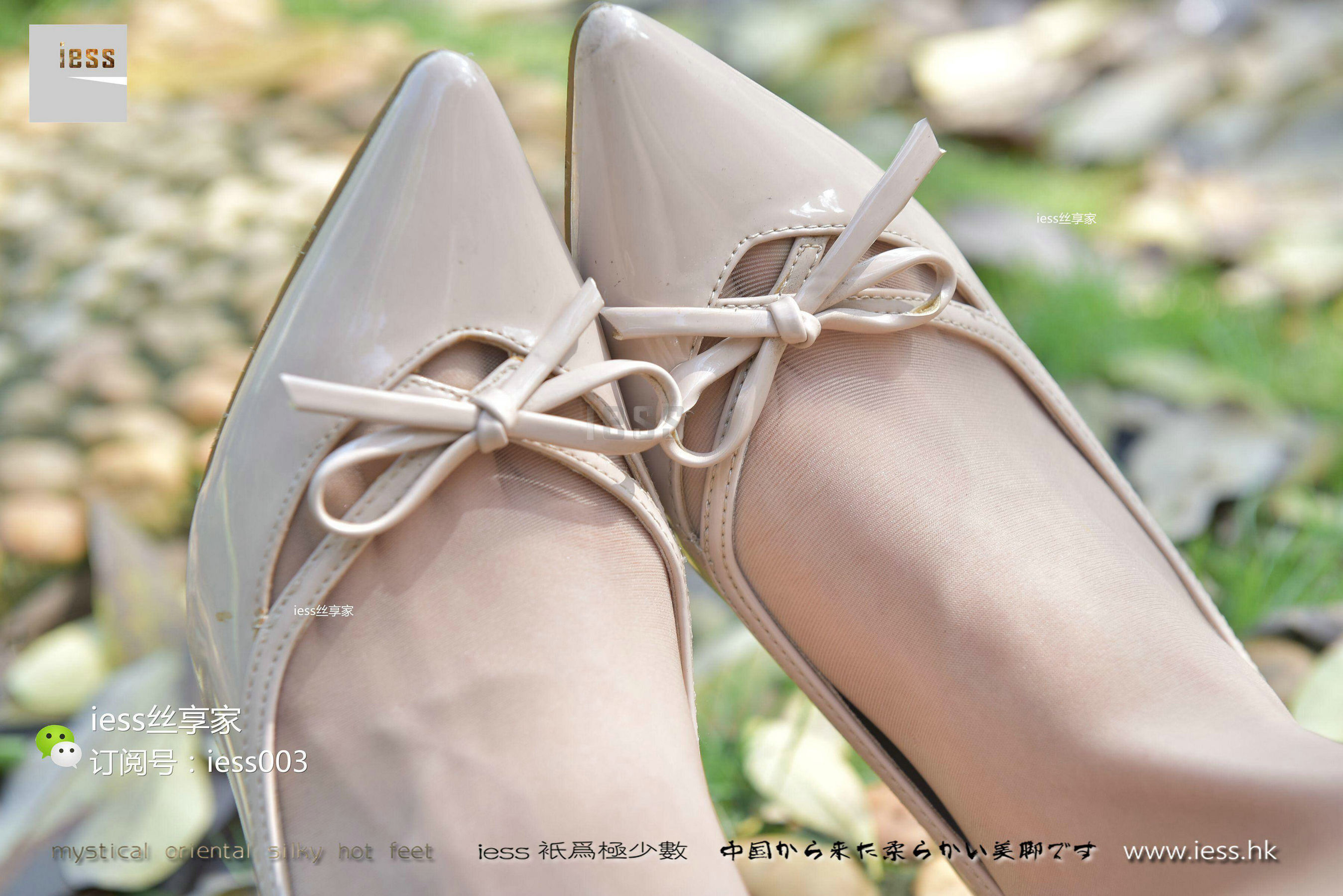 丝享家016 君君 《当肉丝邂逅阳光》-图89