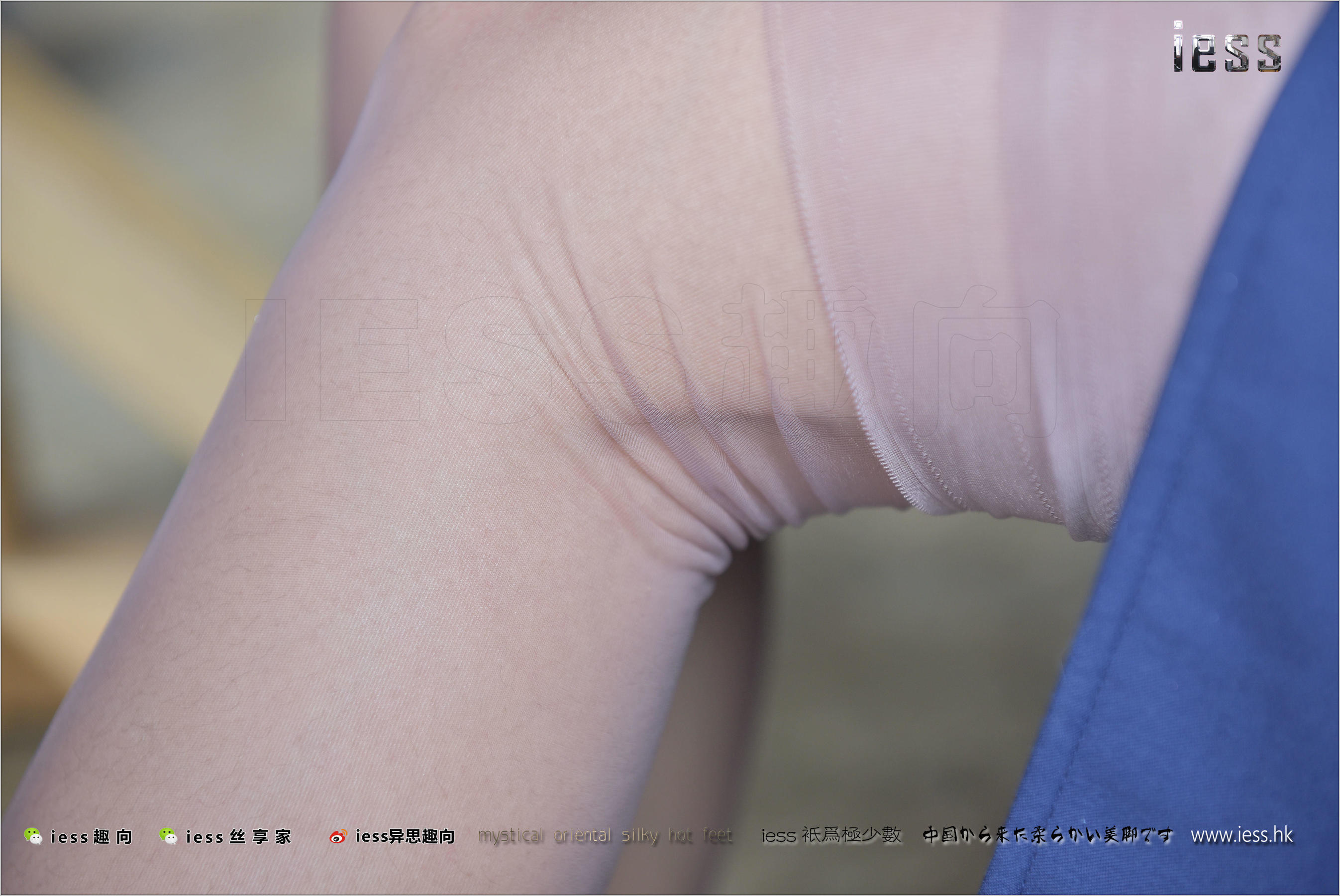 丝足便当136 宛萍 《丝丝入扣》-图74