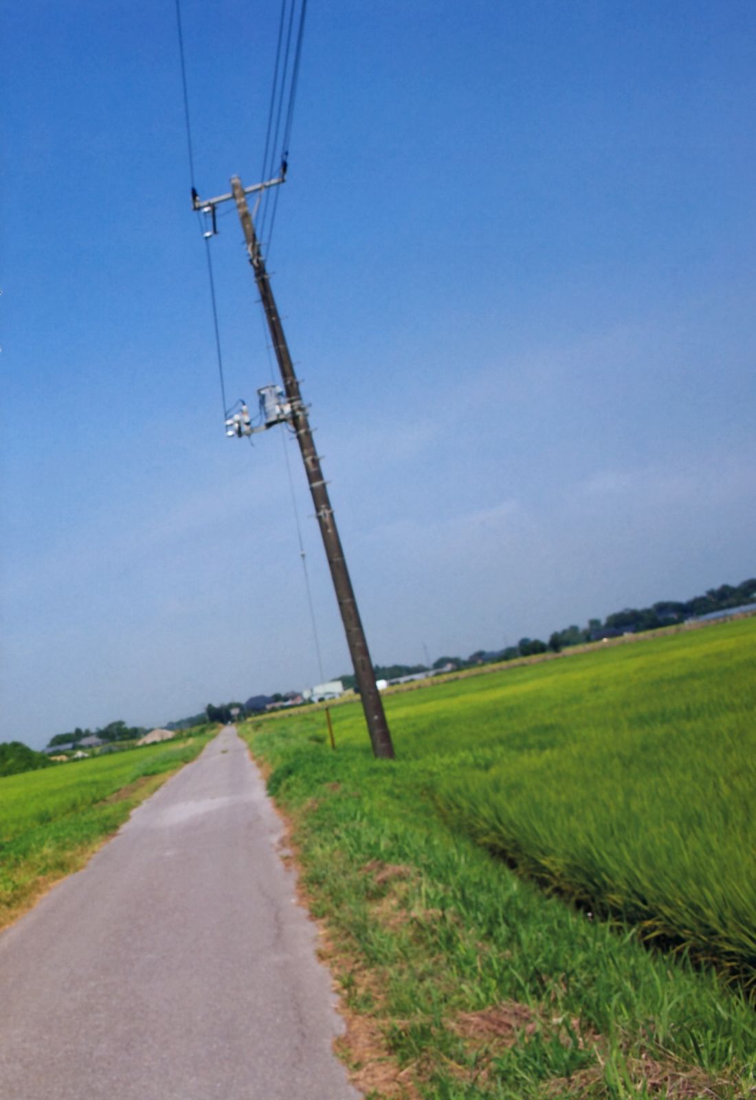 Anri Sugihara 杉原杏璃《as32》-图34