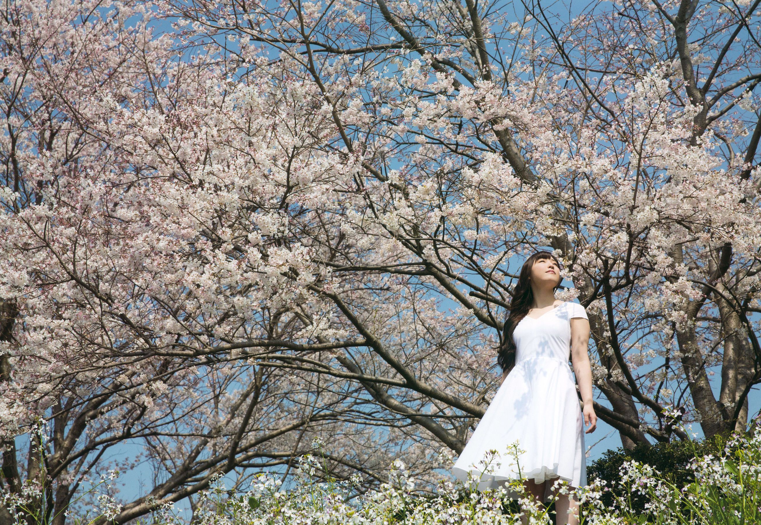 モーニング娘。 17 譜久村聖 《二十歳》-图99