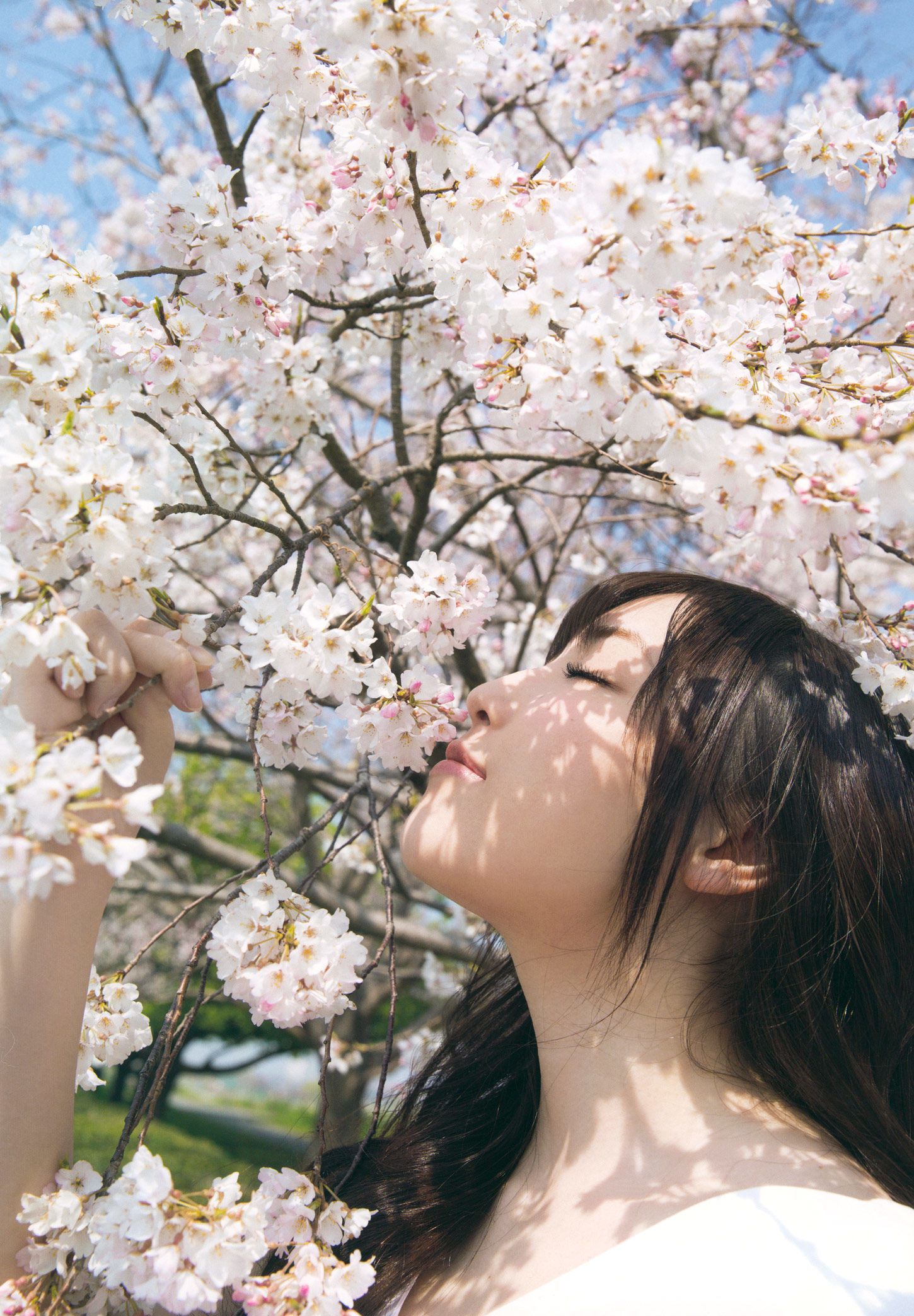 モーニング娘。 17 譜久村聖 《二十歳》-图100