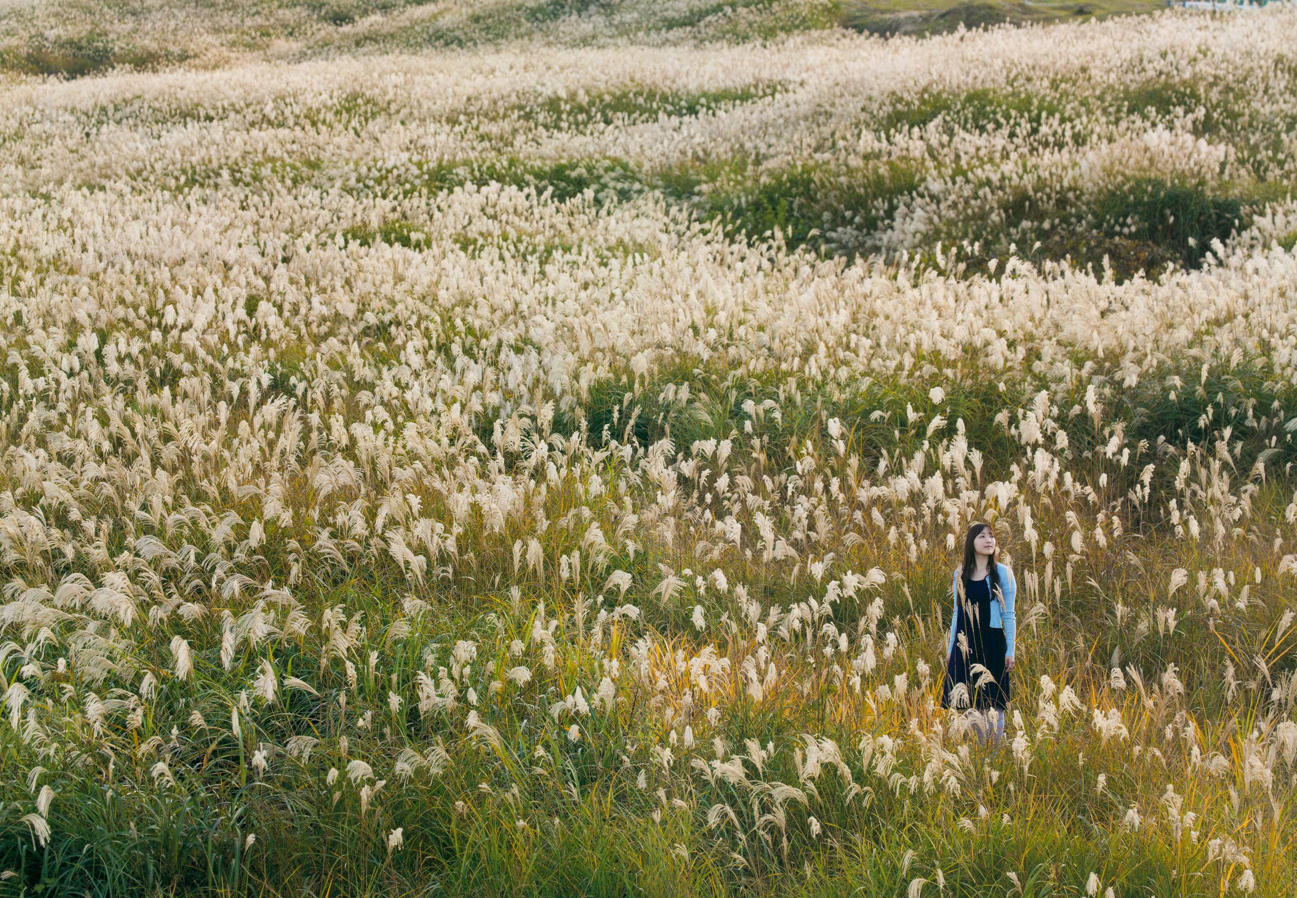 モーニング娘。 17 譜久村聖 《二十歳》-图58