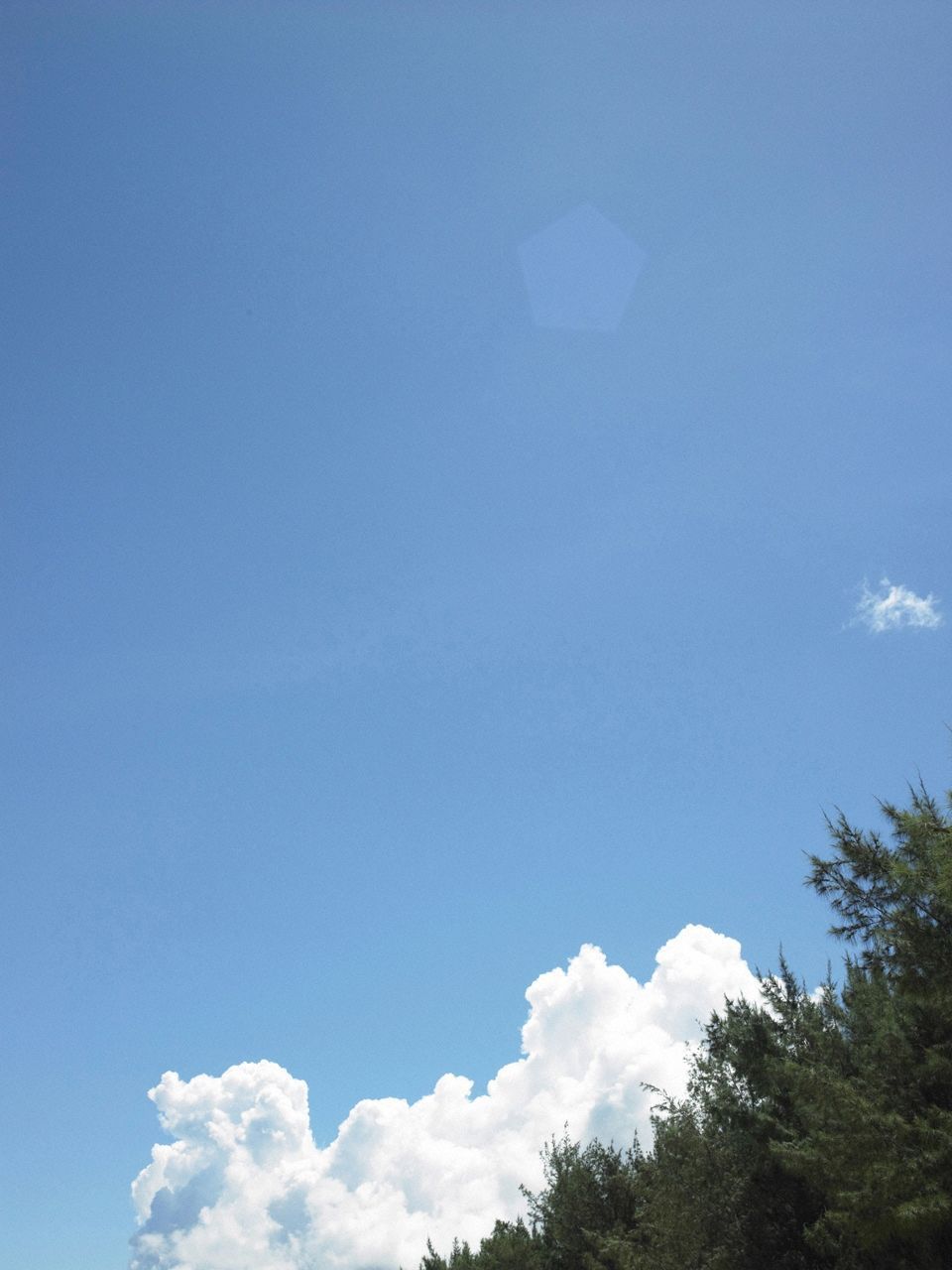 小嶋陽菜《こじはる》  Deluxe-图13