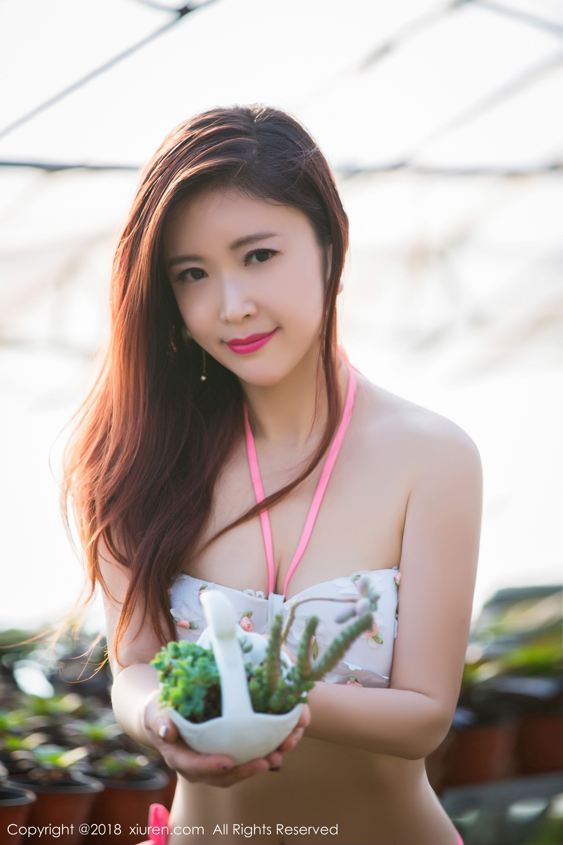 西希白兔《花房》  No.924-图0