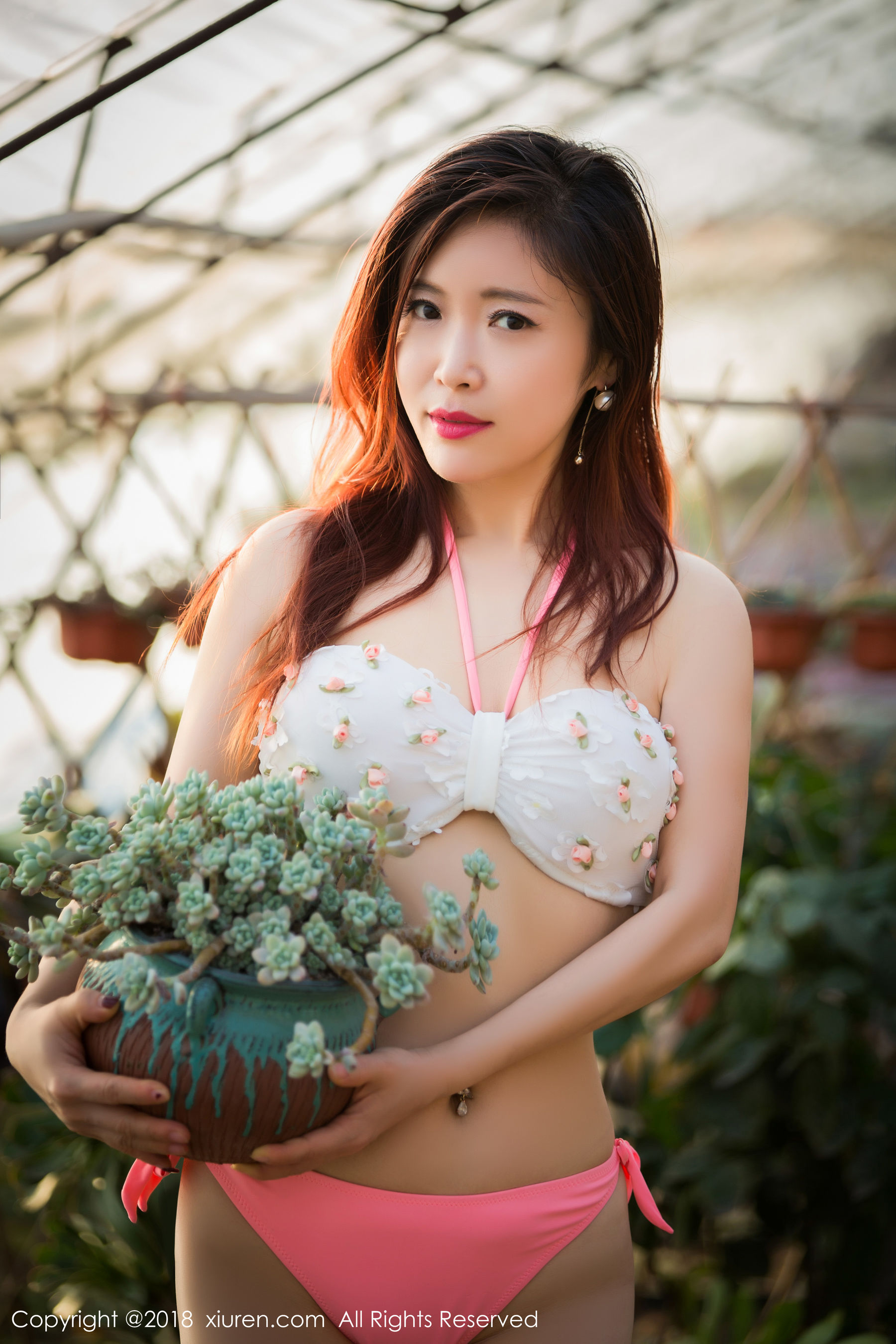 西希白兔《花房》  No.924-图33