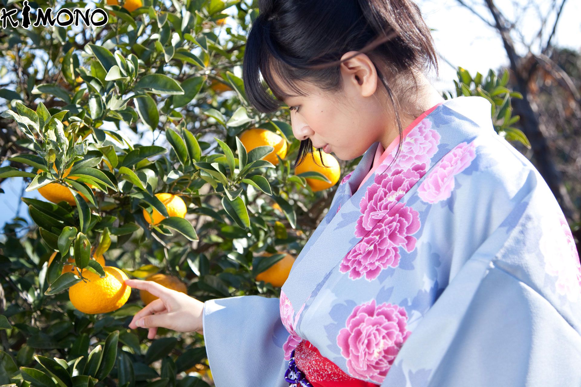 KIMONO和テイスト 033 春菜はな Hana Haruna-图8