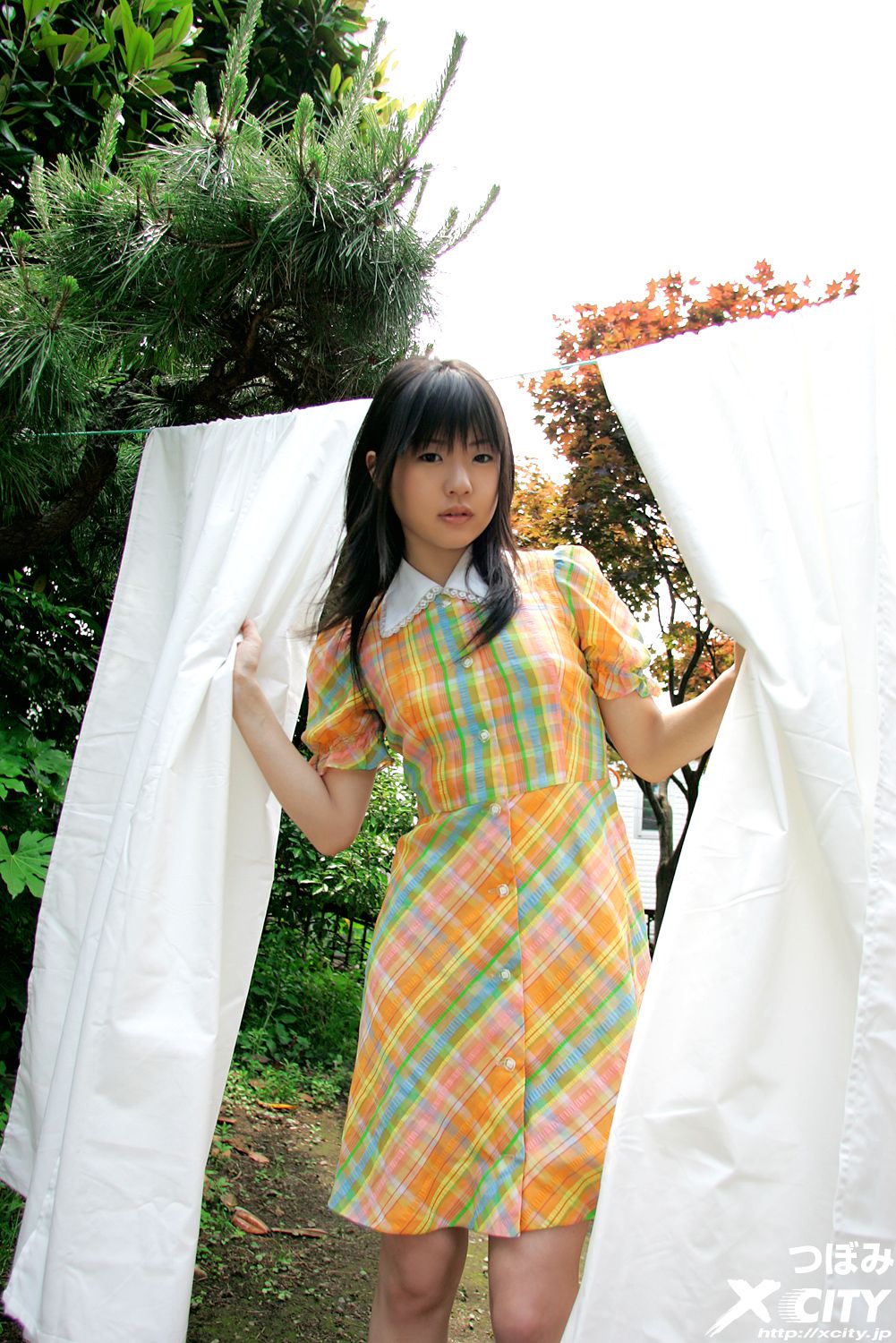 WEB No.063 つぼみ《ぬくみーミスティック》-图0