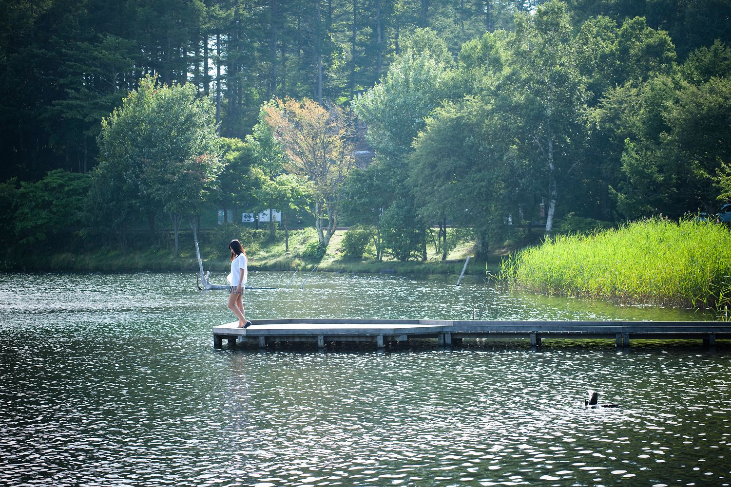 WEB No.114 小倉奈々《プライベートトリップ》-图14