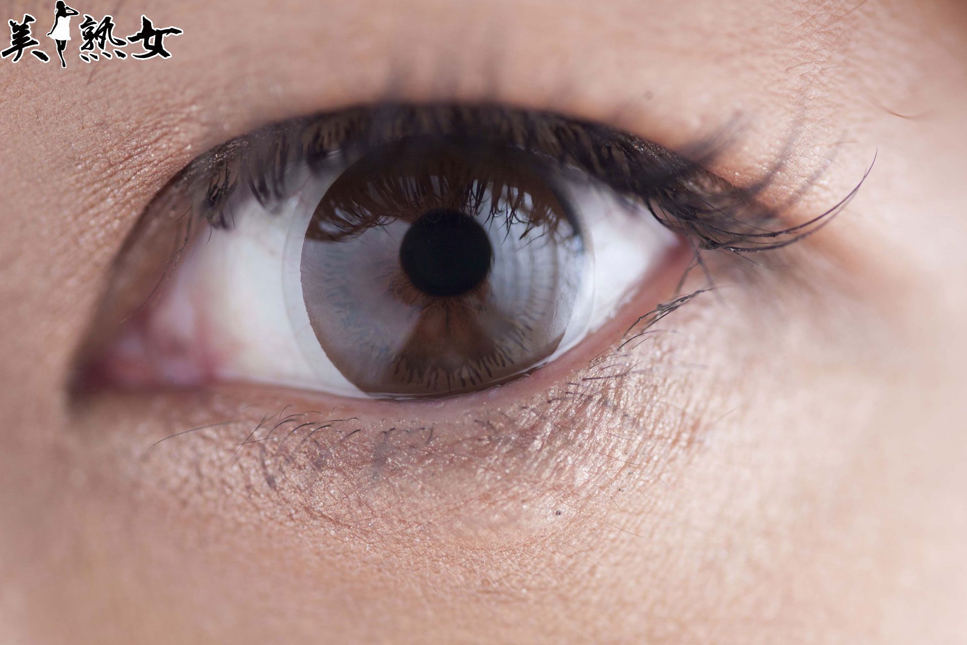 熟女グラビア「JUKUJO」瞳リョウ/瞳理欧-图27