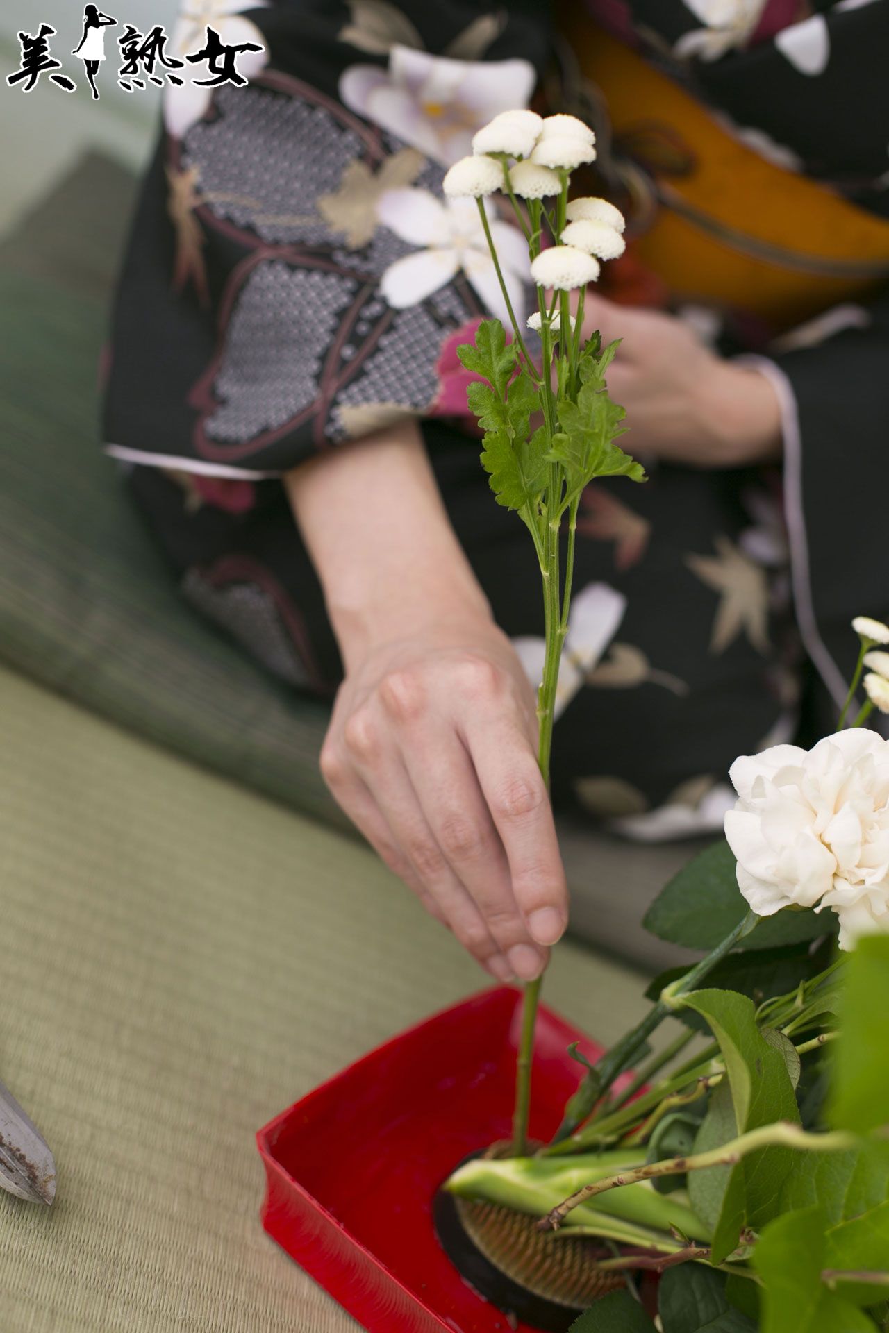 美熟女 愛田奈々/三津なつみ-图19