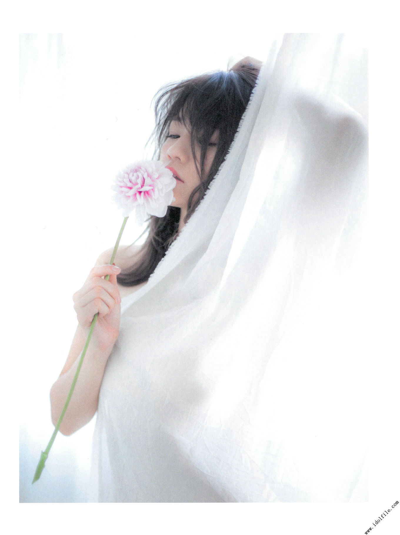 島田晴香「そんな生き方」-图2