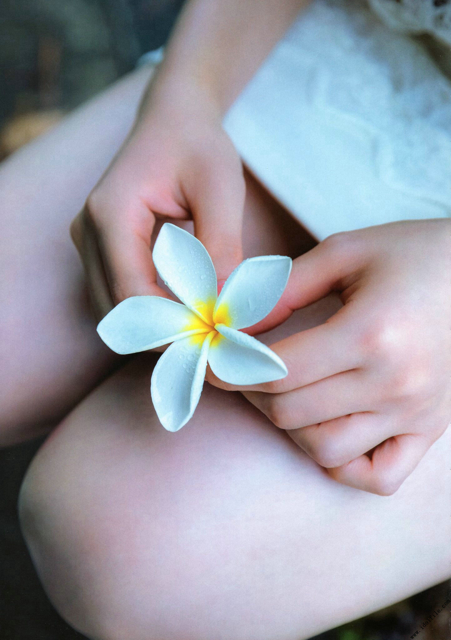 秋元真夏 1st《真夏の気圧配置》-图76