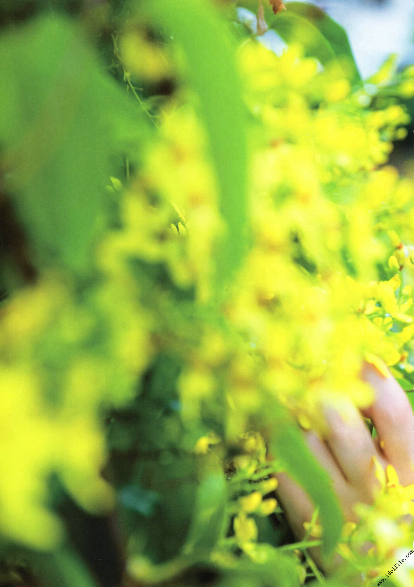 秋元真夏 1st《真夏の気圧配置》-图82