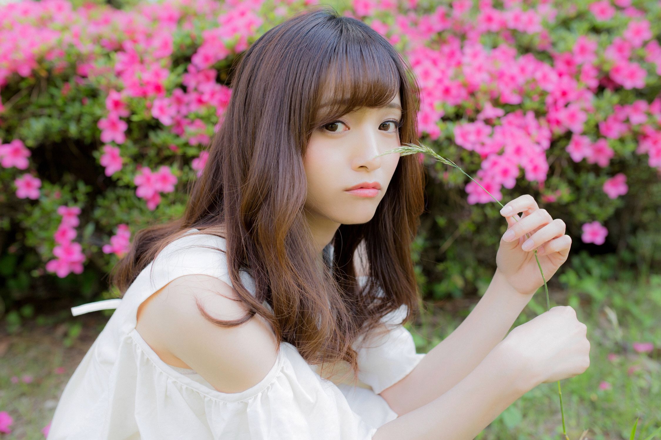 三田寺円《白衣の天使がモデル》  Vol.789-图1