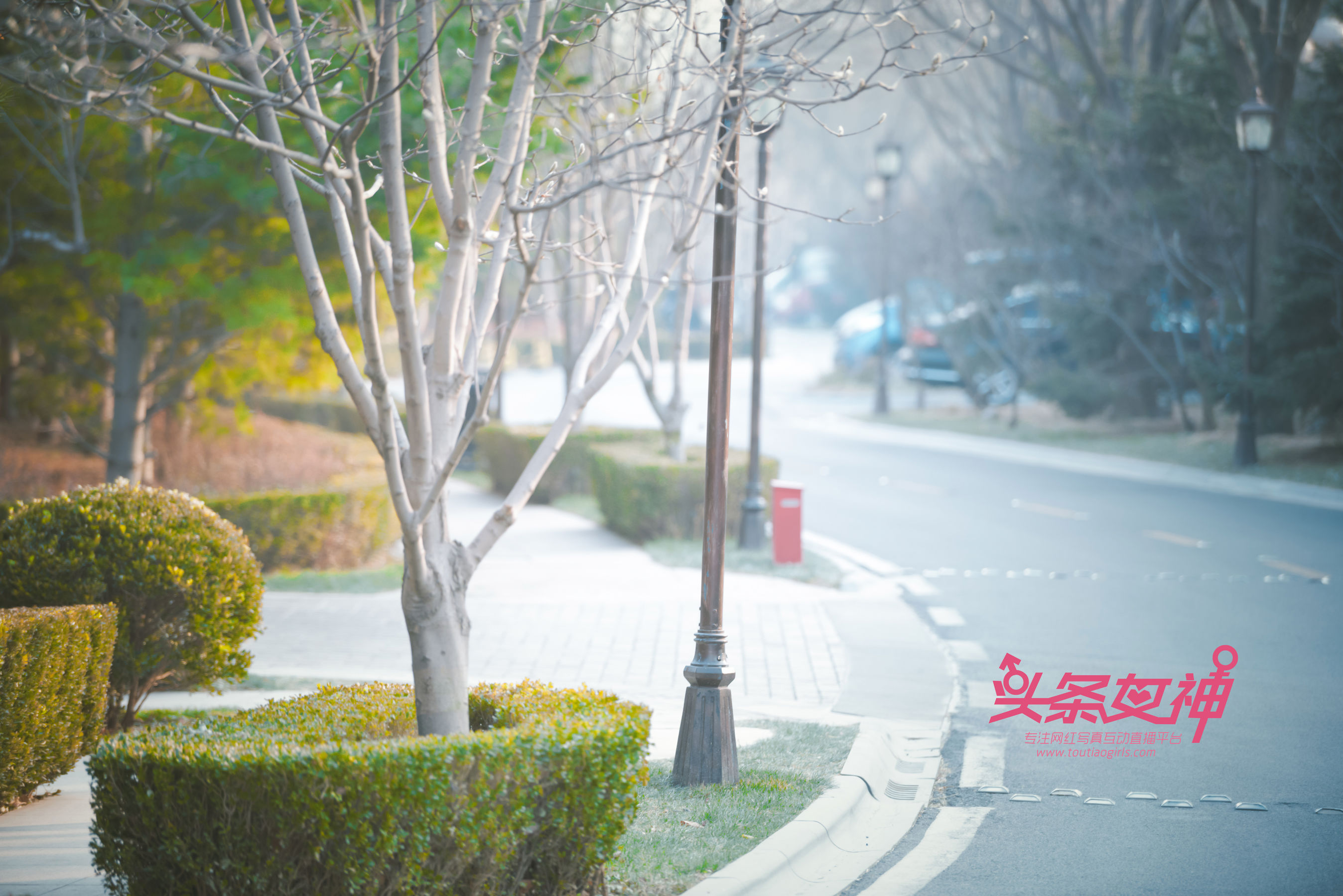 韩夏汐《极致露出》-图0