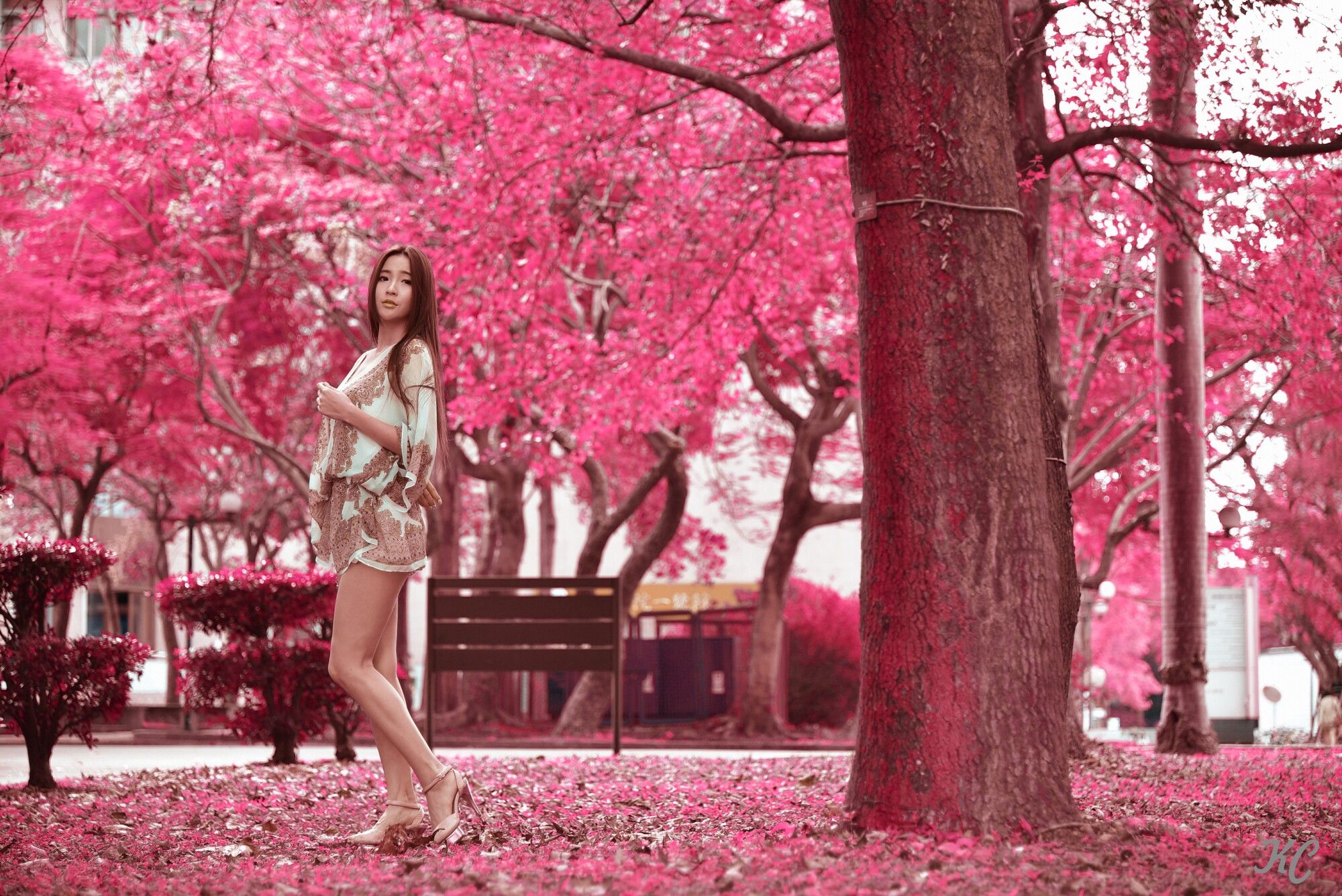 Anber小安柏《台大2014》-图1