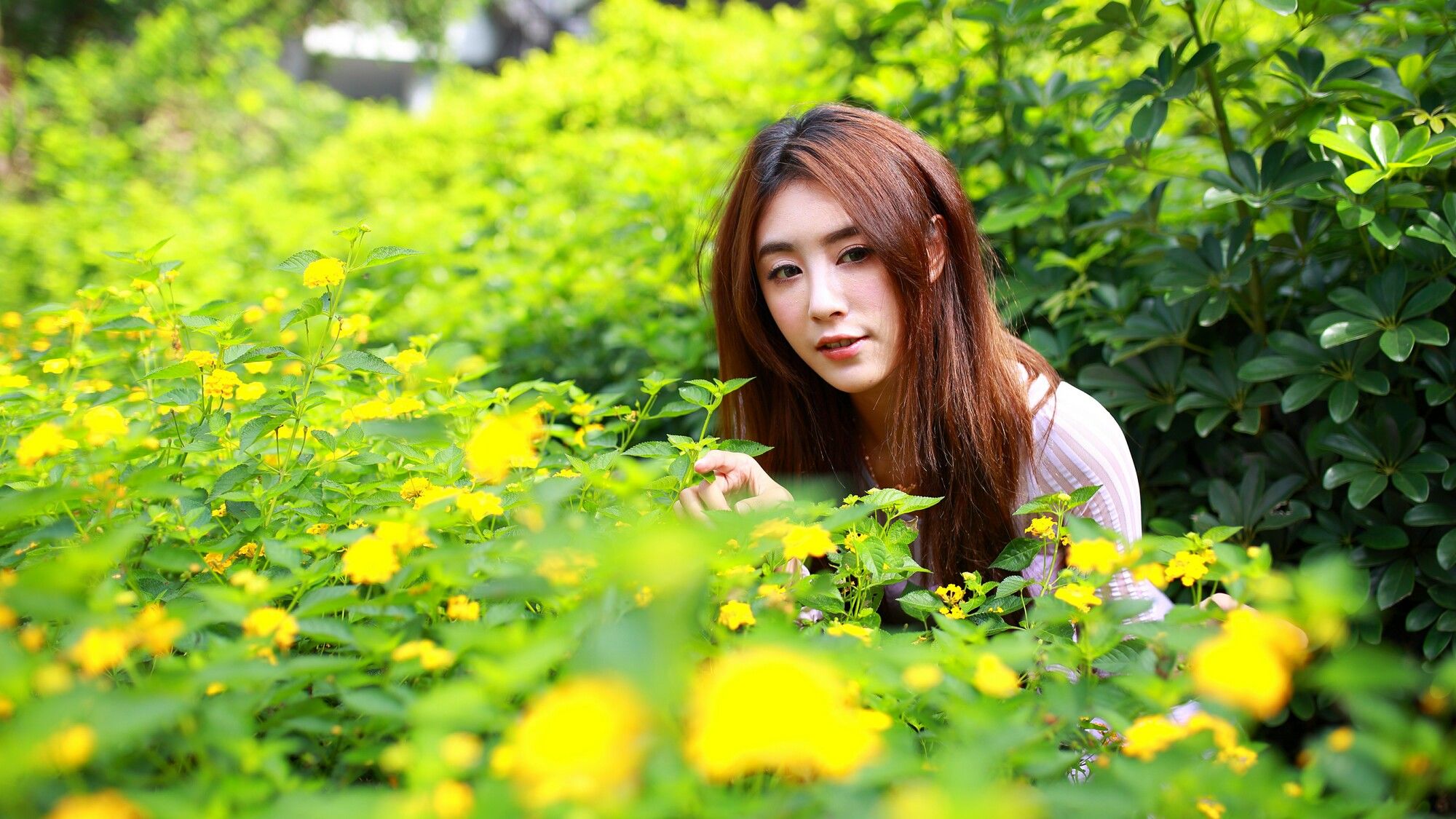 Miso夏晴 - 清新街拍-图1