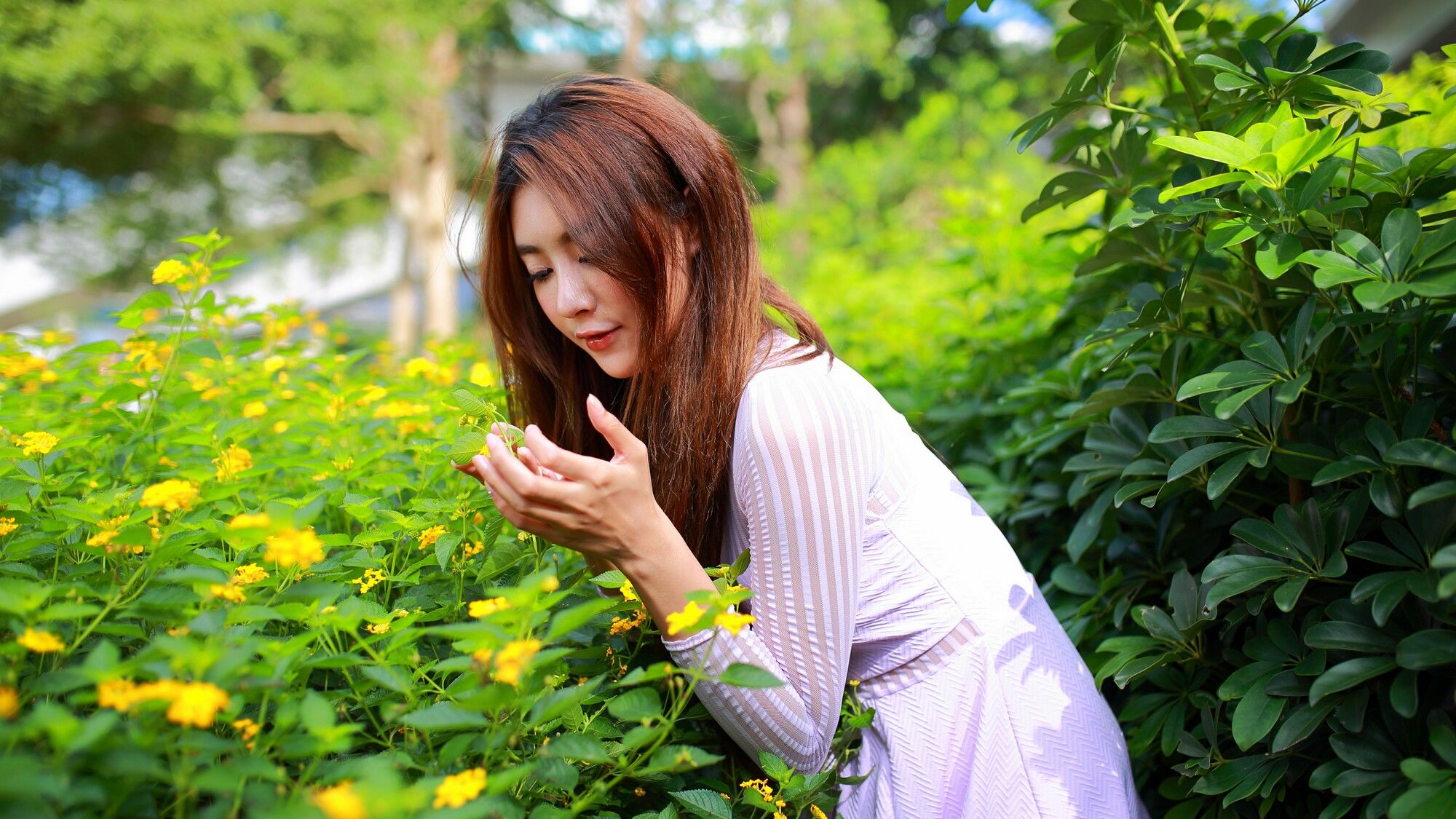 Miso夏晴 - 清新街拍-图30