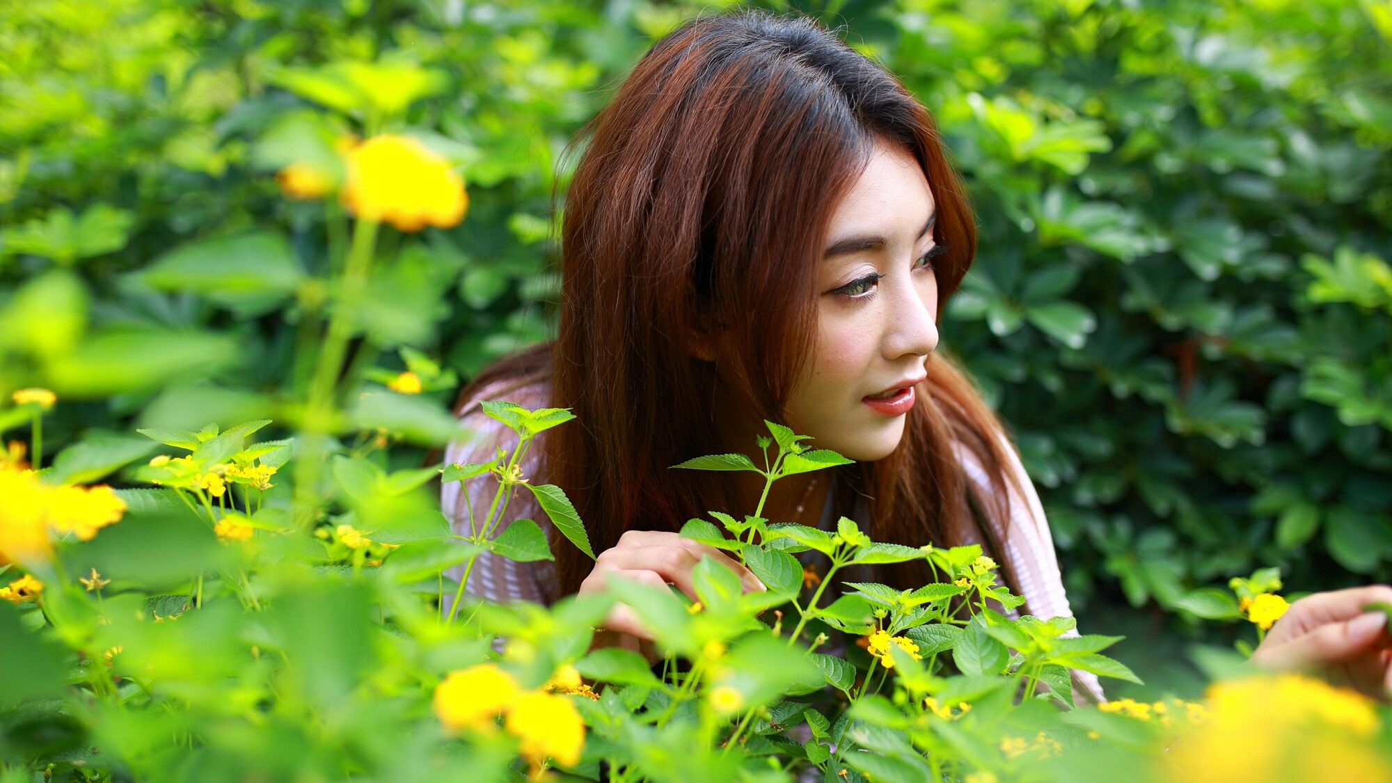 Miso夏晴 - 清新街拍-图47