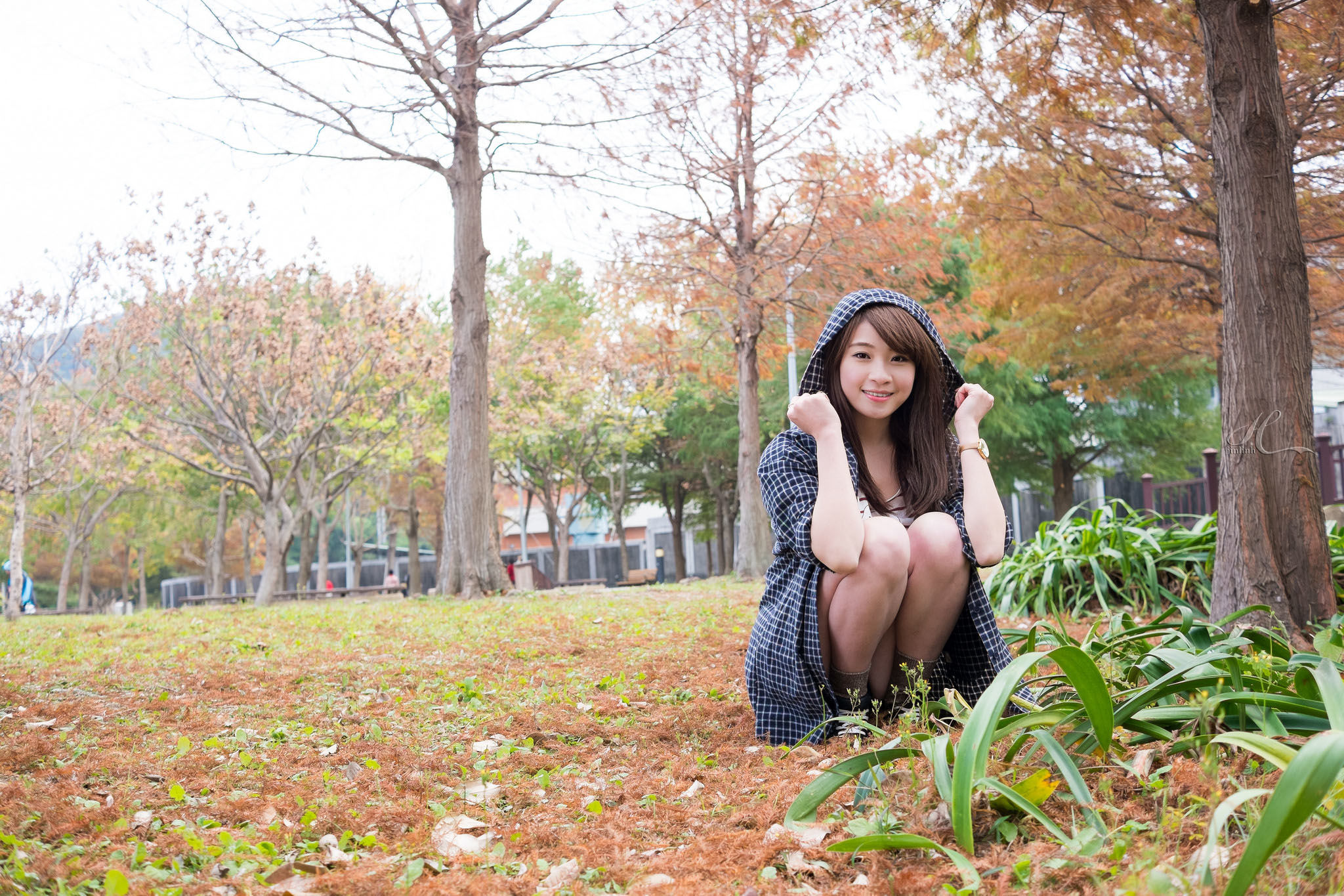 孙佳歆《秋日小妹》-图1