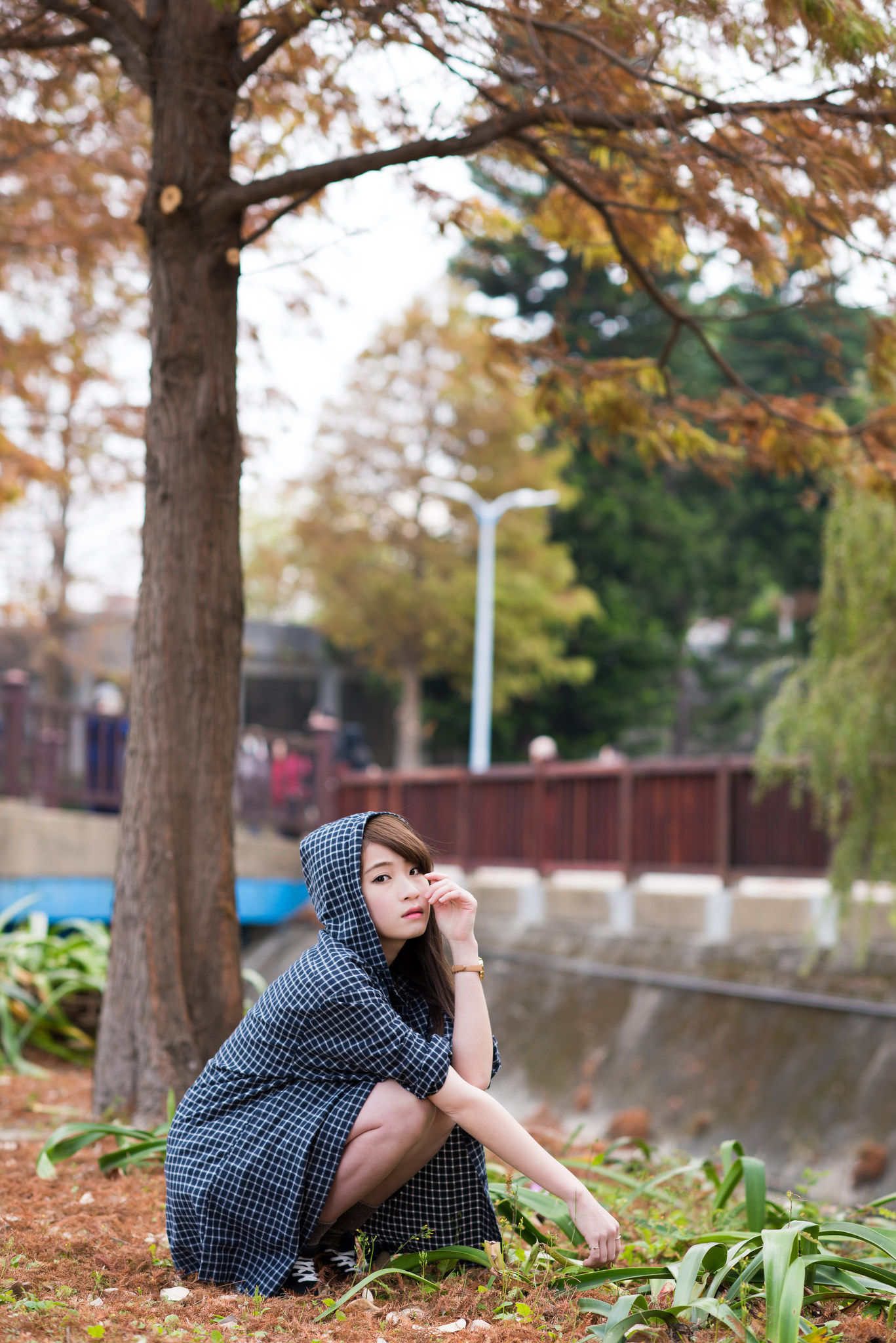 孙佳歆《秋日小妹》-图4