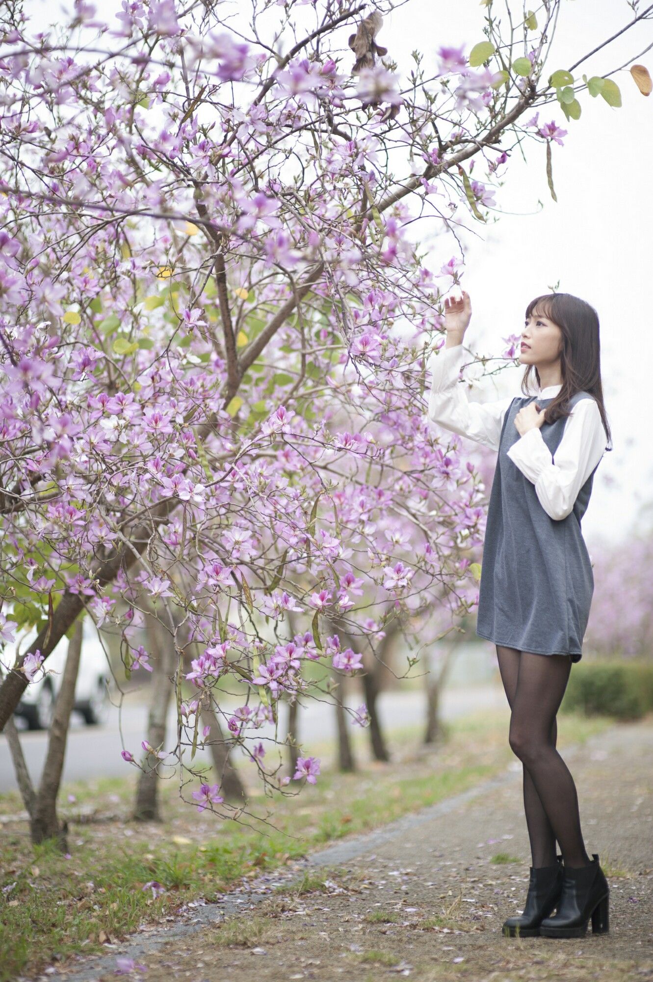 彭丽嘉(Lady憶憶)《樱花下的黑丝》-图31