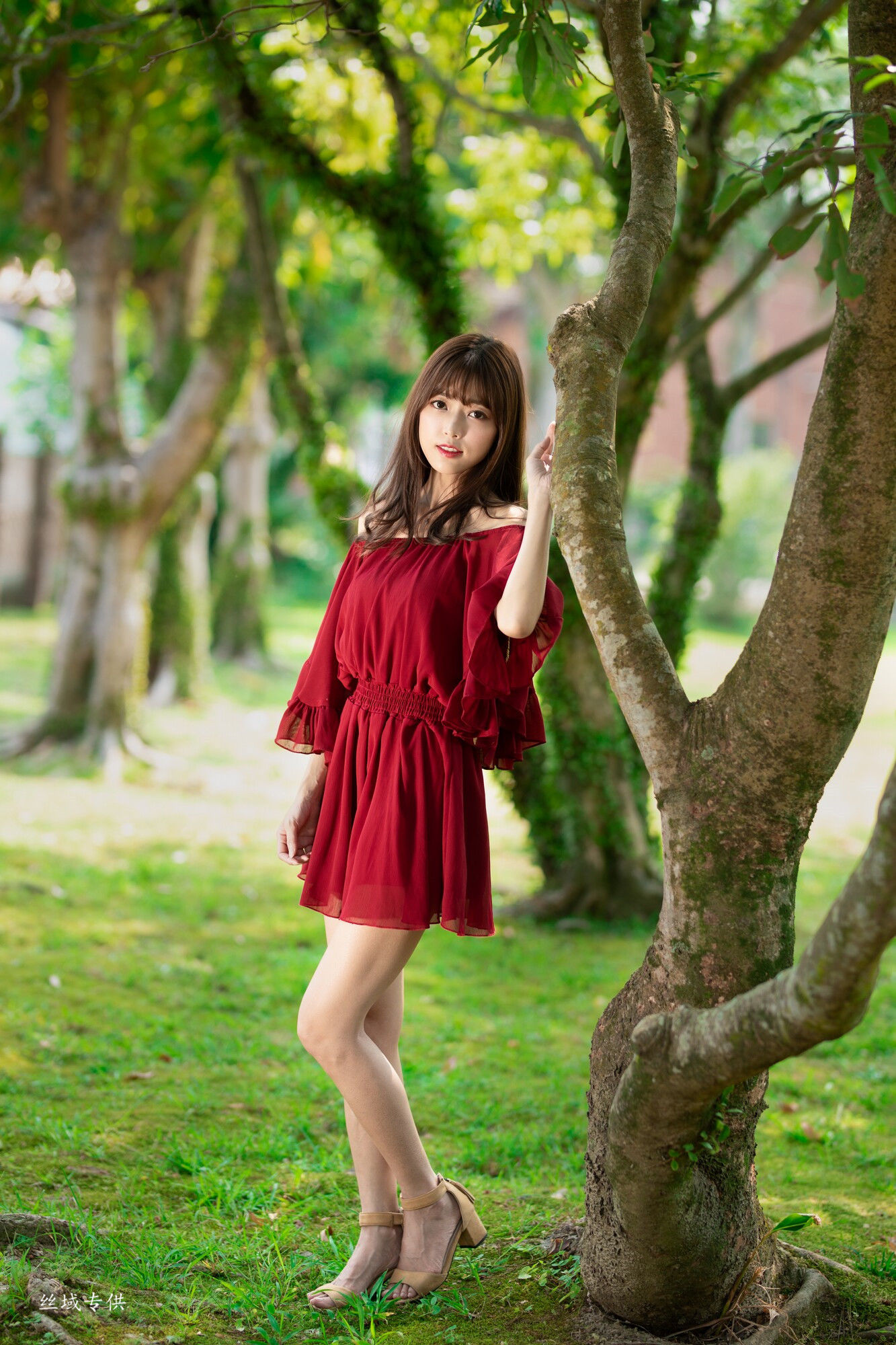 Lady憶憶/彭丽嘉《士林官邸》-图9