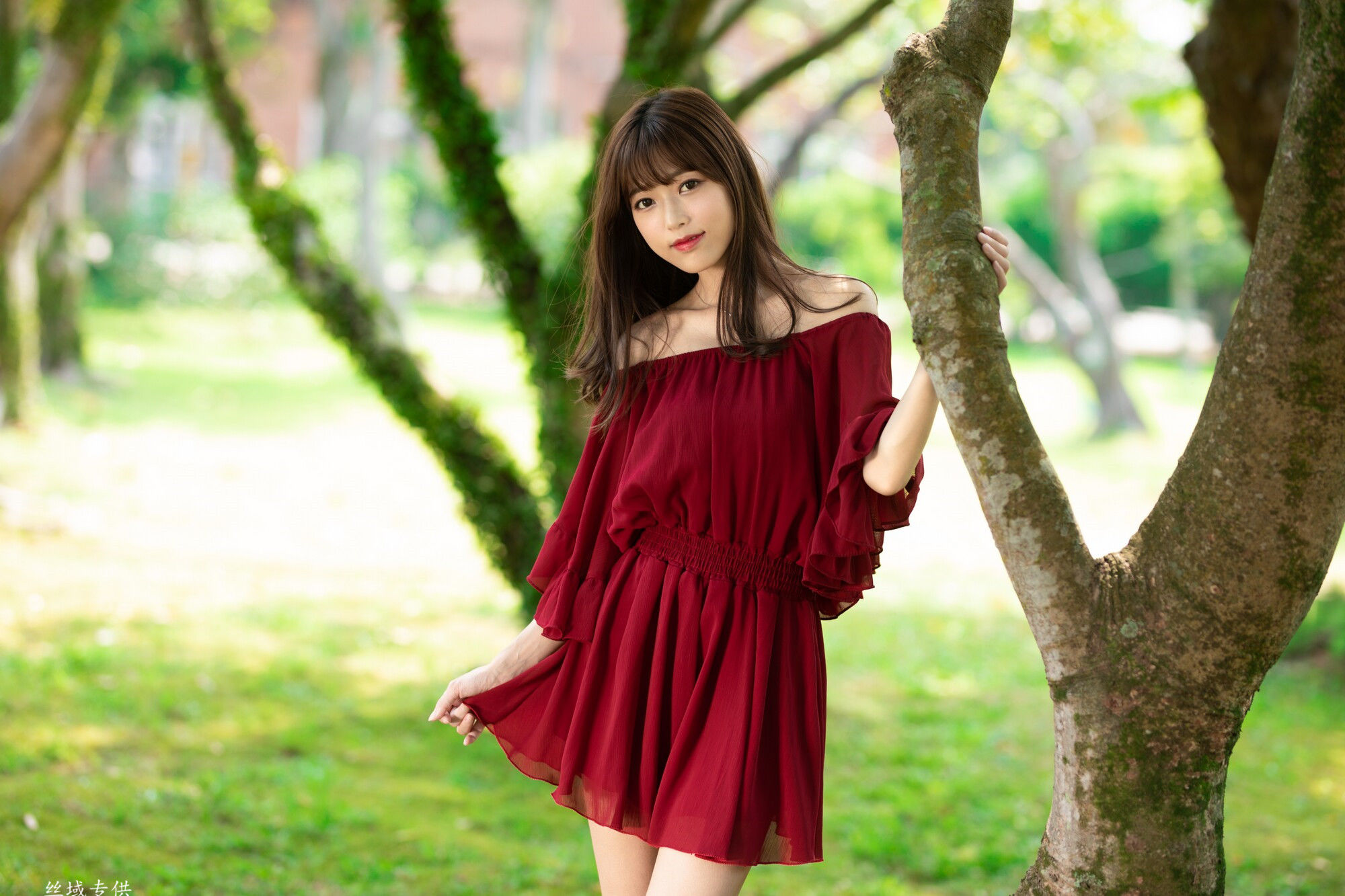 Lady憶憶/彭丽嘉《士林官邸》-图6