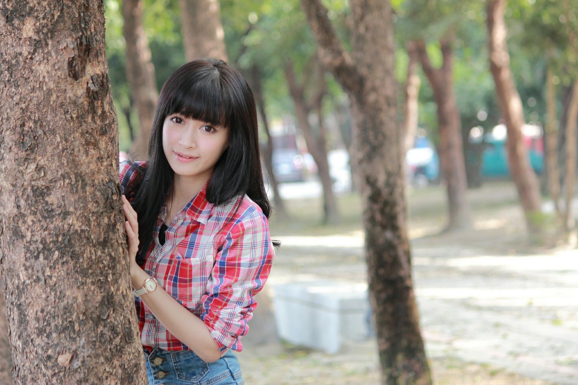 段璟瑤《原生植物園》-图9