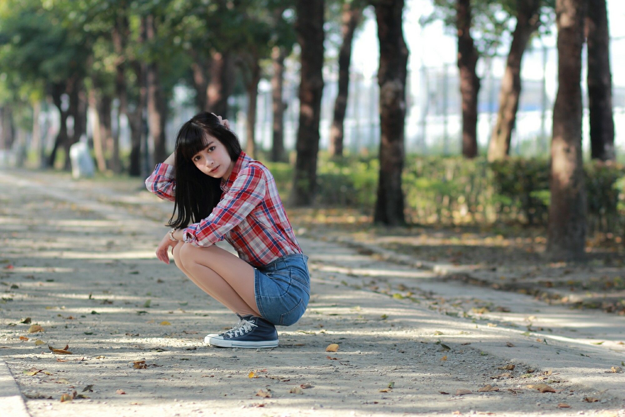 段璟瑤《原生植物園》-图2