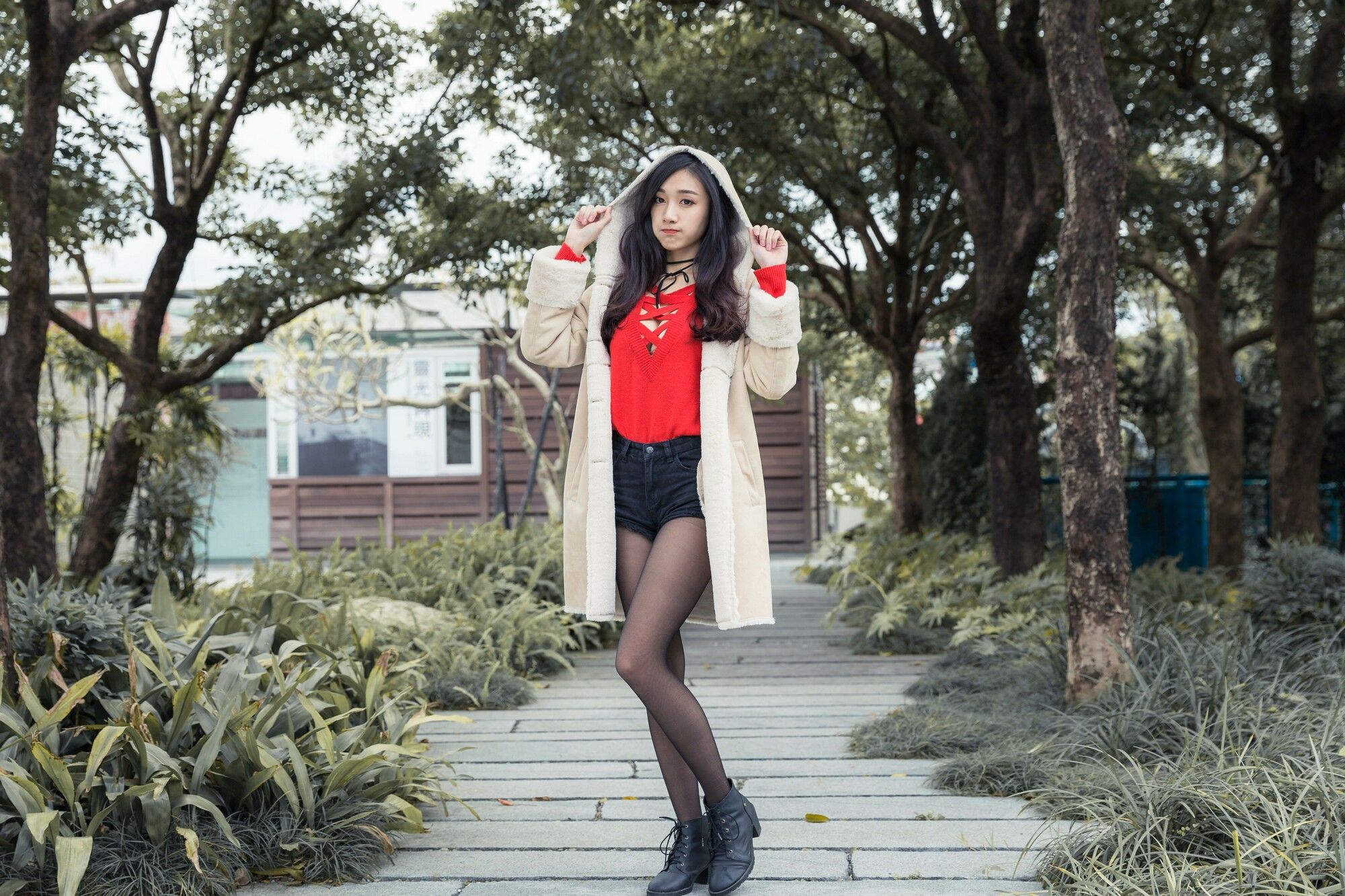 段璟乐《花博公園+部分松叶随拍》-图31