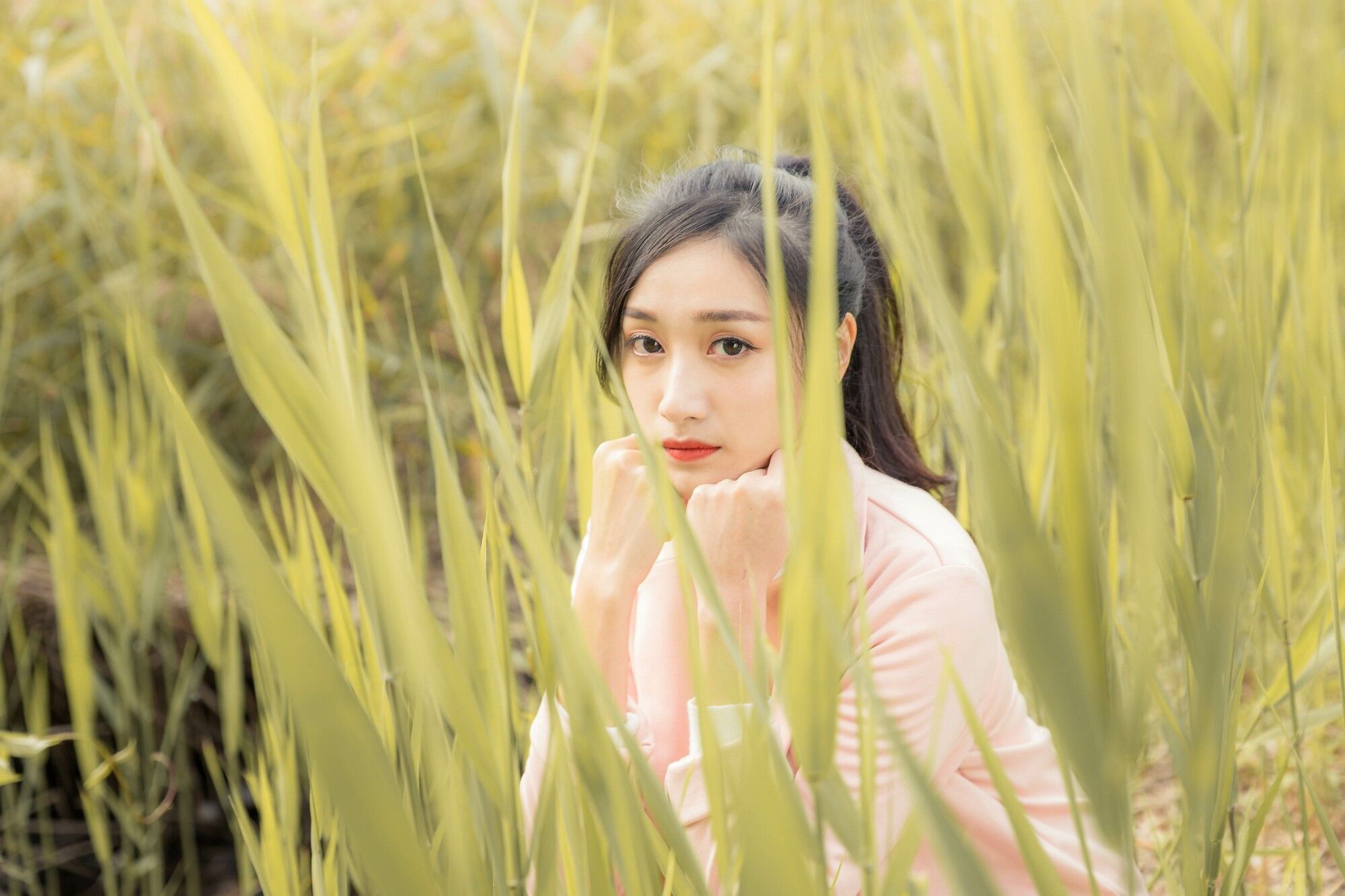 段璟乐《花博公園+部分松叶随拍》-图34