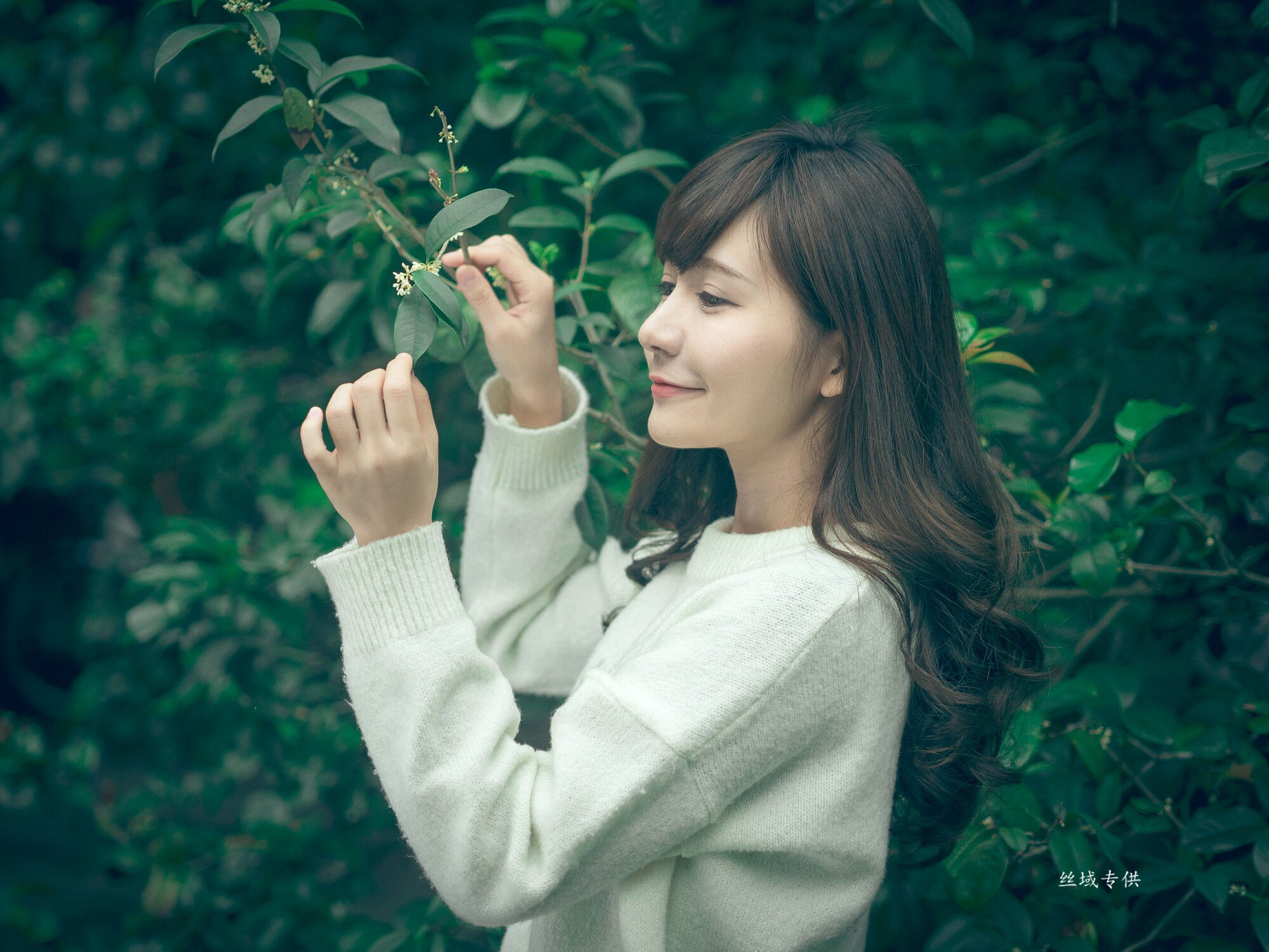 艾比 台灣大學-图27