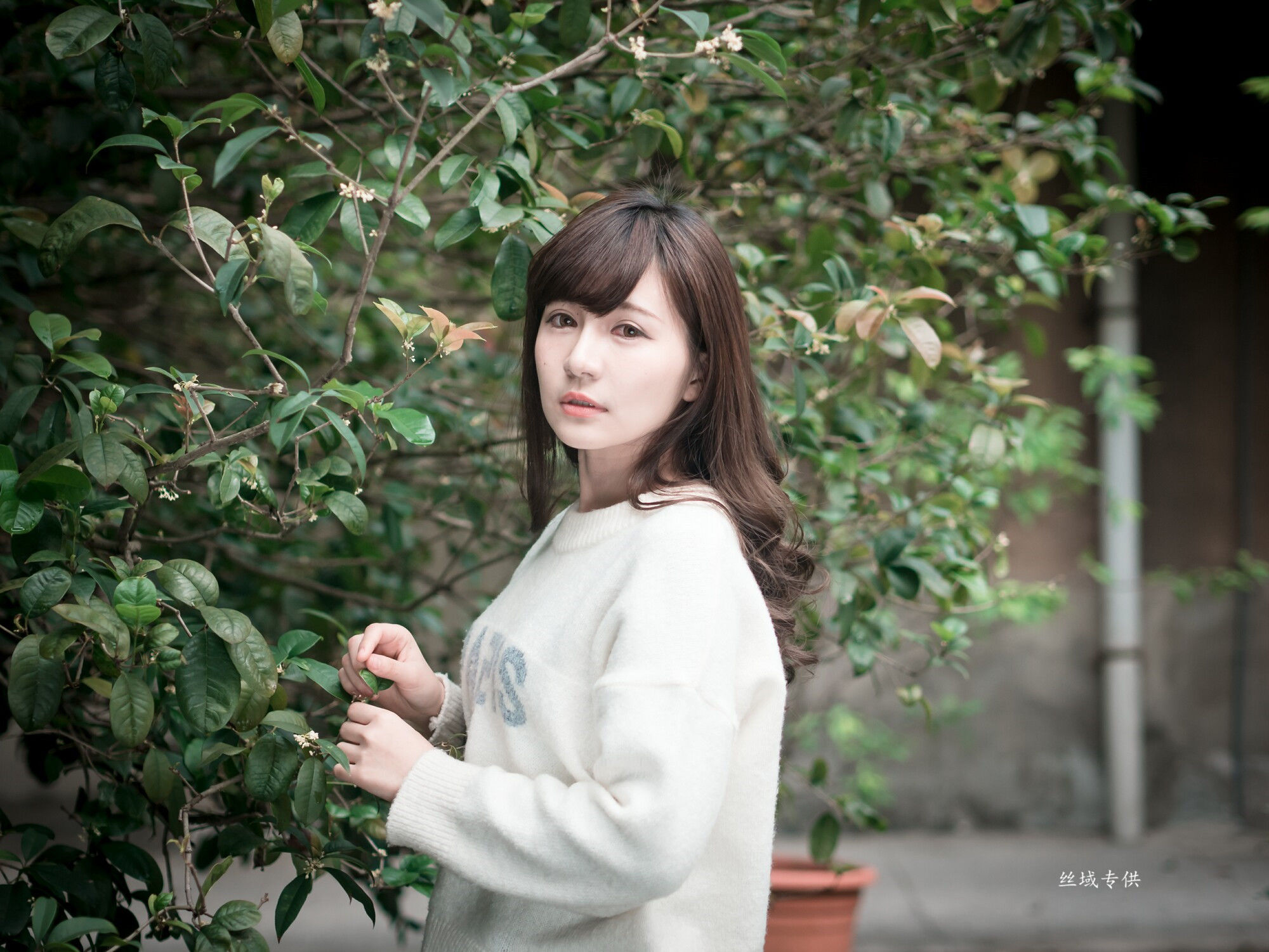 艾比 台灣大學-图28