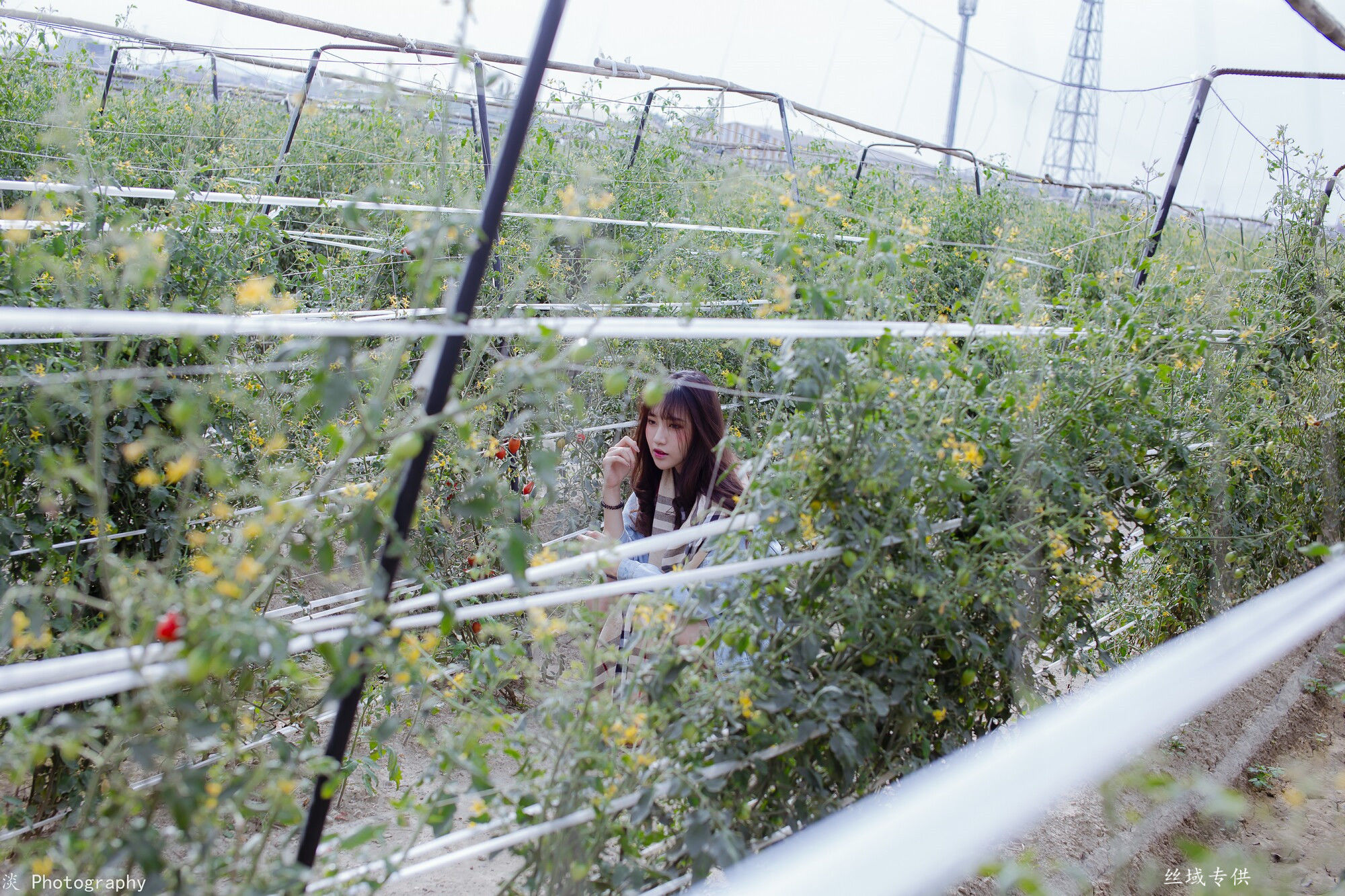 比比 小清新-图3