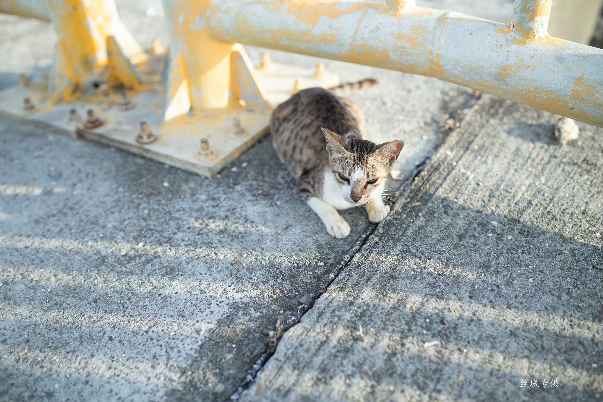 方唯真 制服-图47