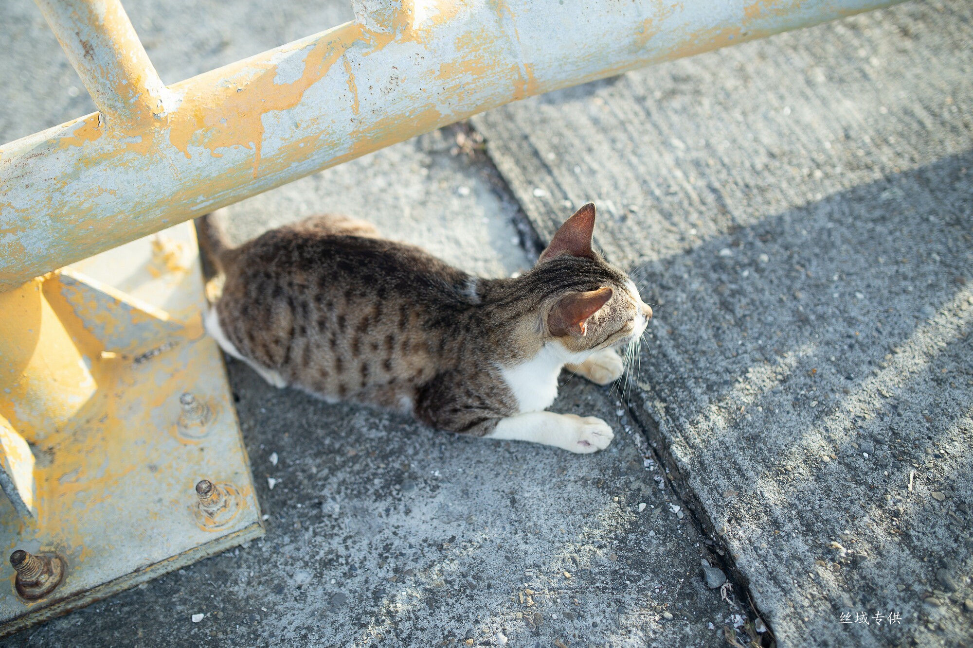 方唯真 制服-图49