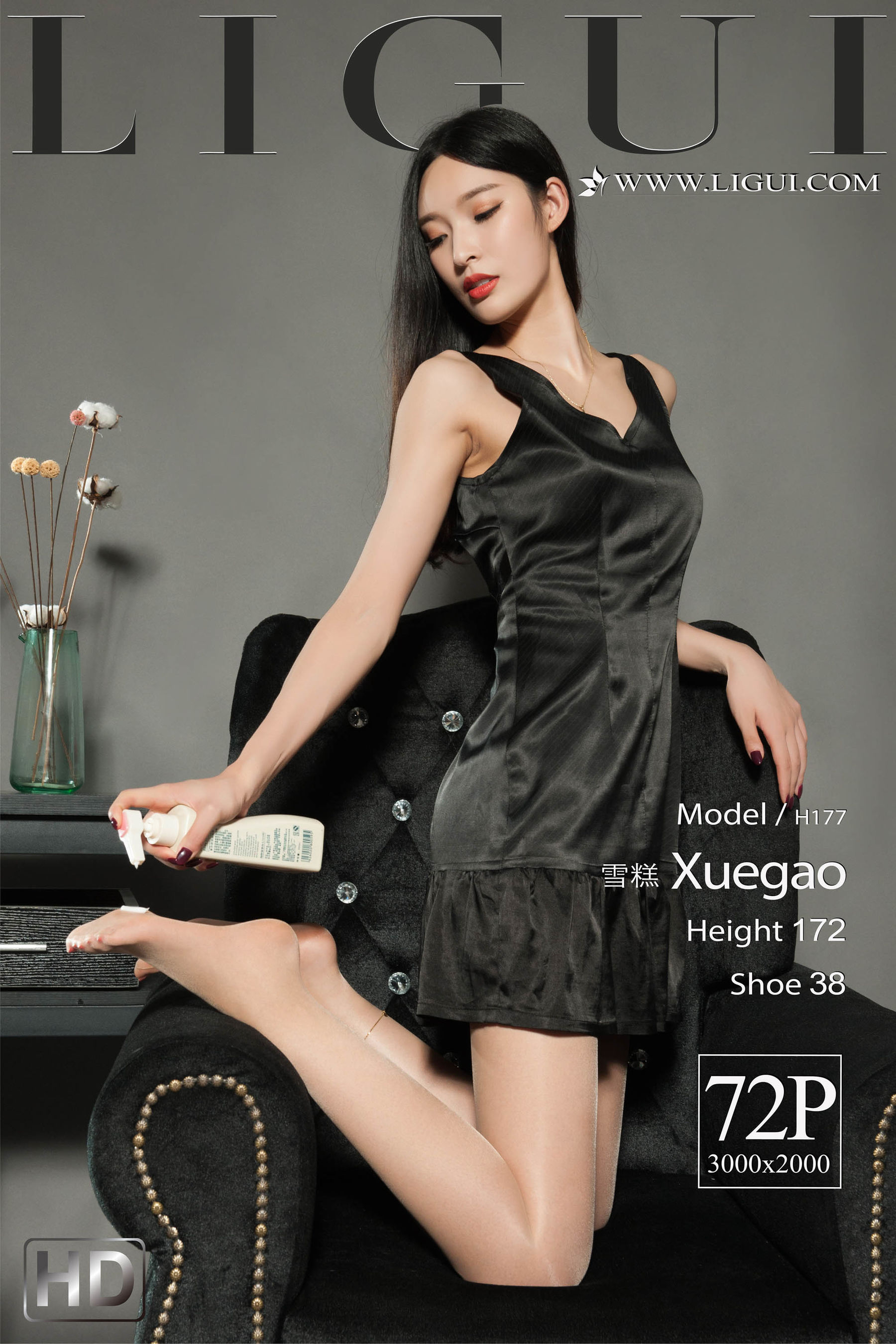 Model 雪糕-图0