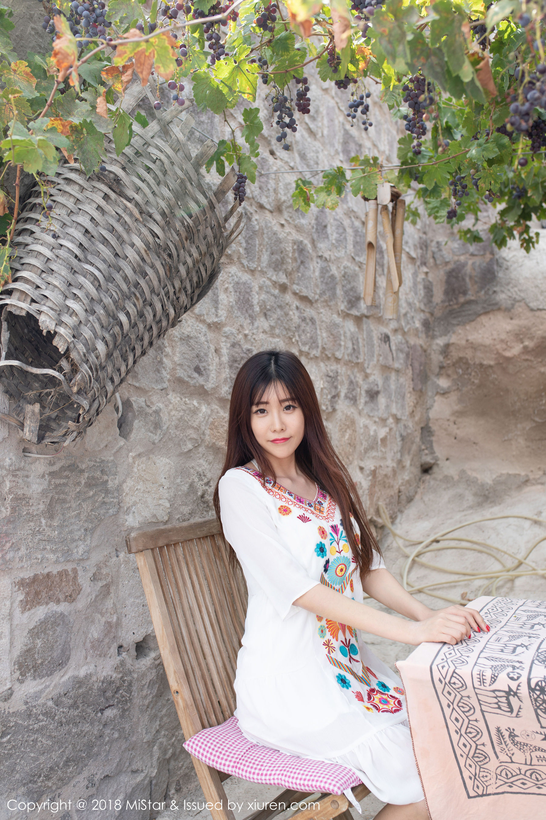 VOL.242 小熊猫Panda-图15