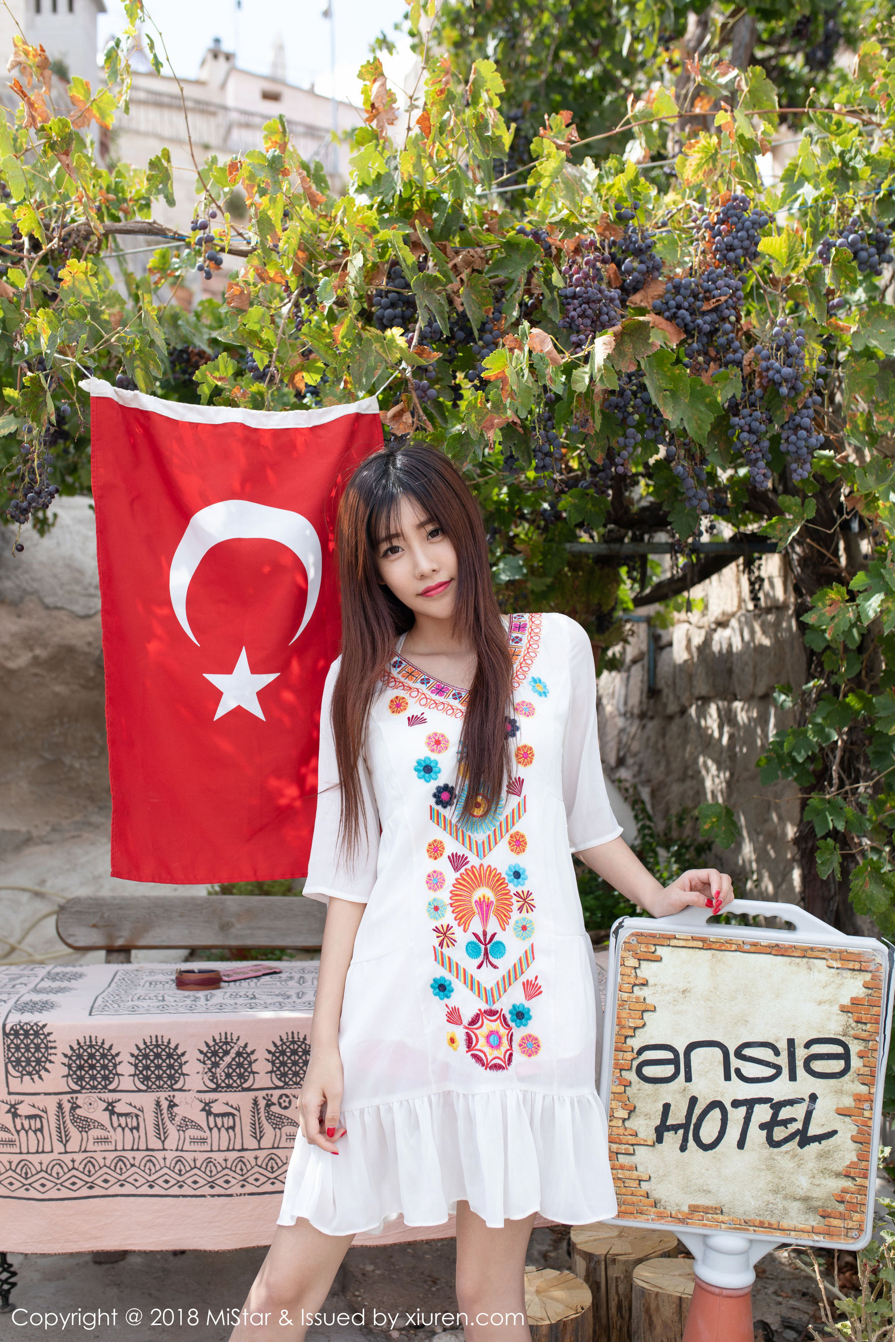 VOL.242 小熊猫Panda-图16