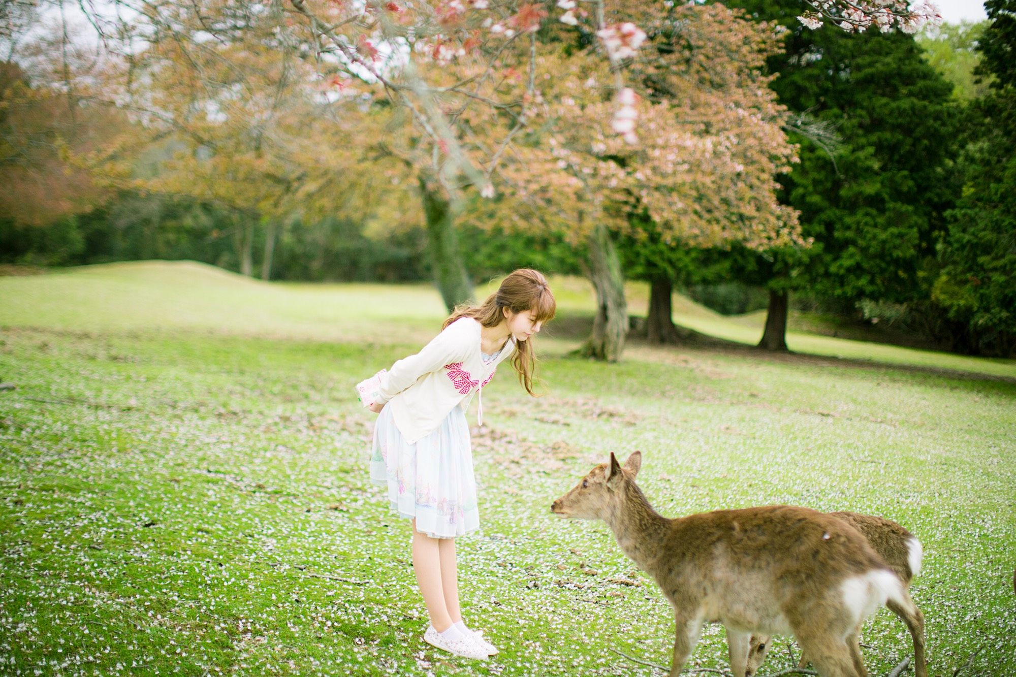 韩国模特Yurisa 4-图2