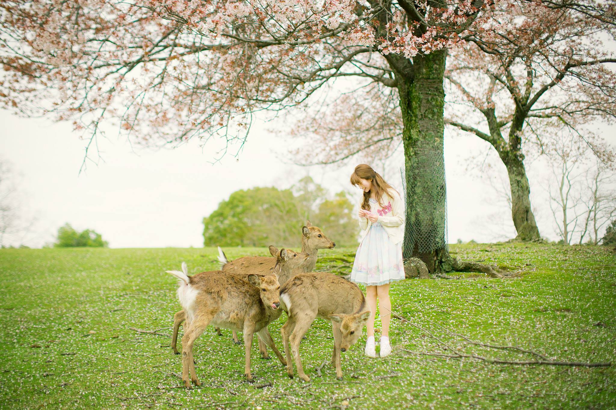 韩国模特Yurisa 4-图38