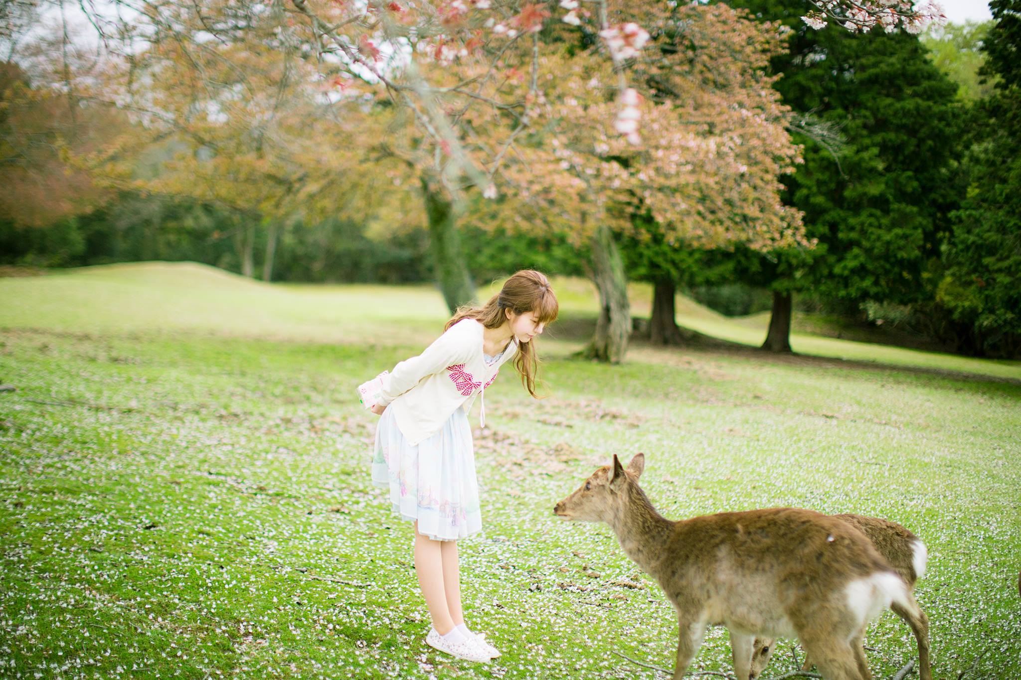 韩国模特Yurisa 4-图49