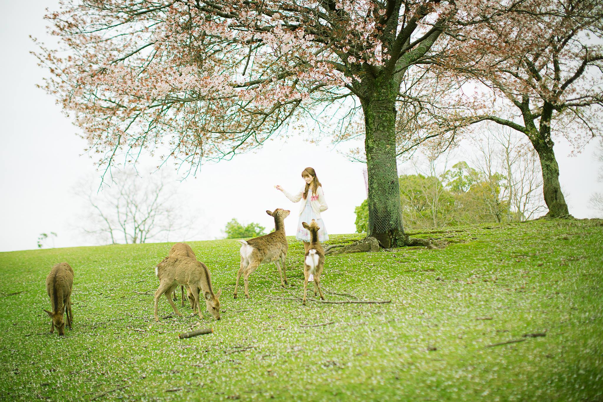 韩国模特Yurisa 4-图54