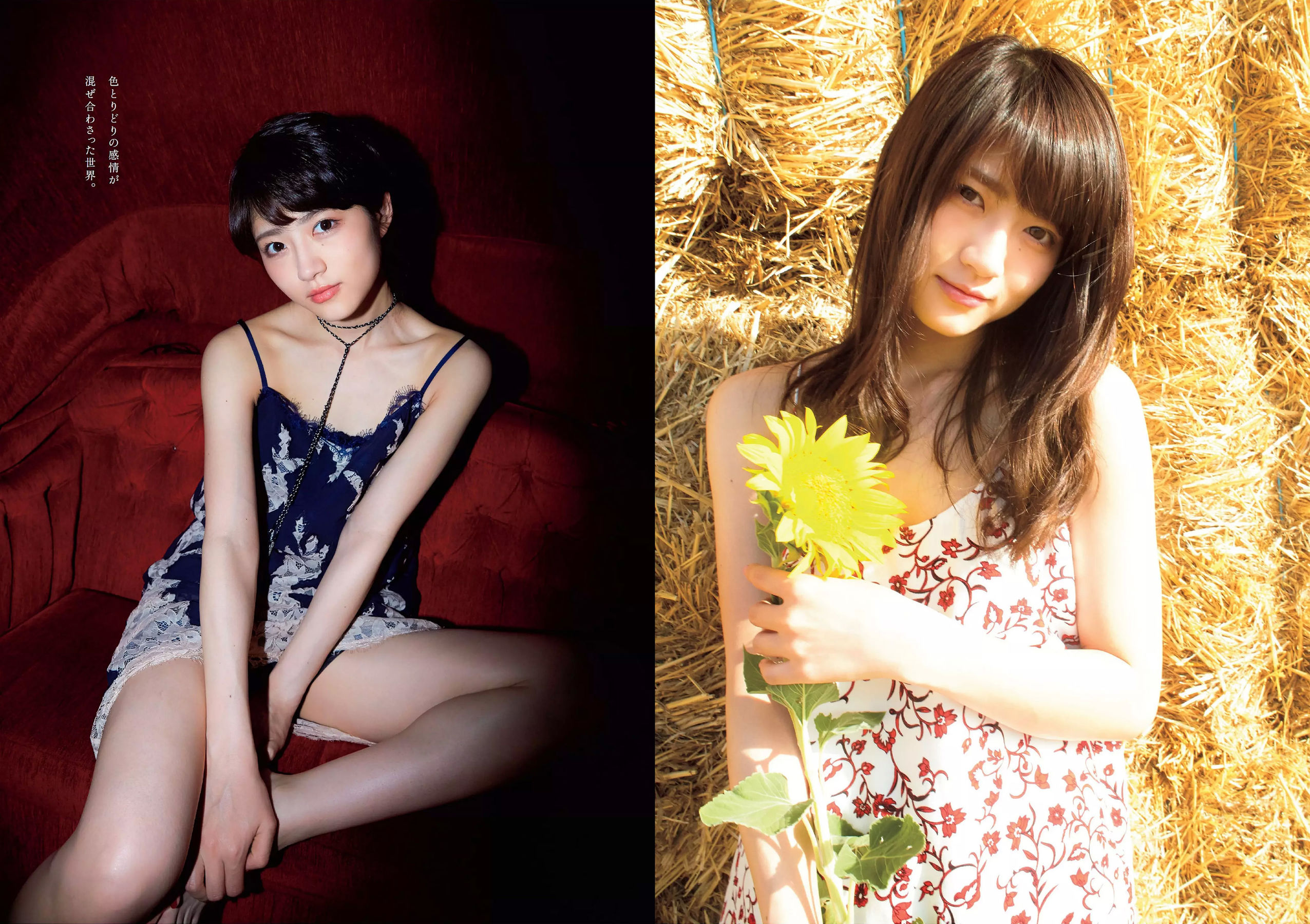 橋本マナミ 安藤咲桜 高田夏帆 若月佑美 鈴木友菜 園都 黒瀧まりあ  2017年No.47 写真杂志-图12