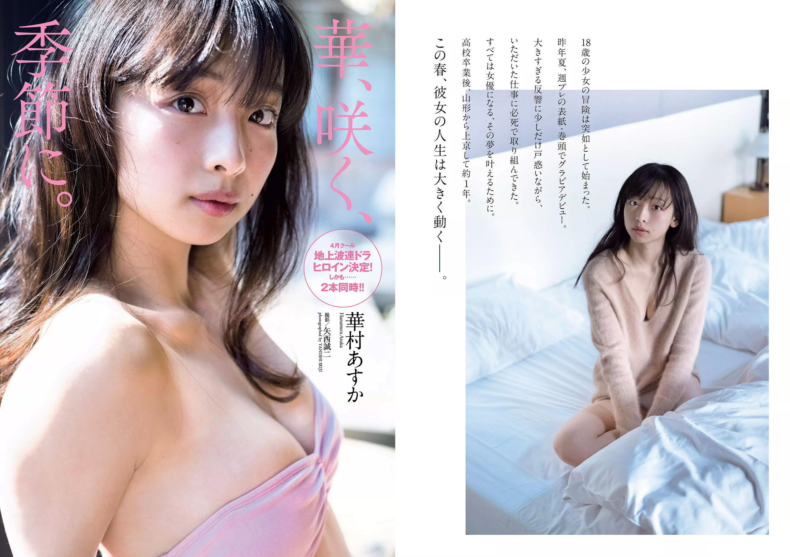 華村あすか 浅川梨奈 山本舞香 今田美桜 小坂菜緒 ☆HOSHINO  2018年No.12 写真杂志-图1