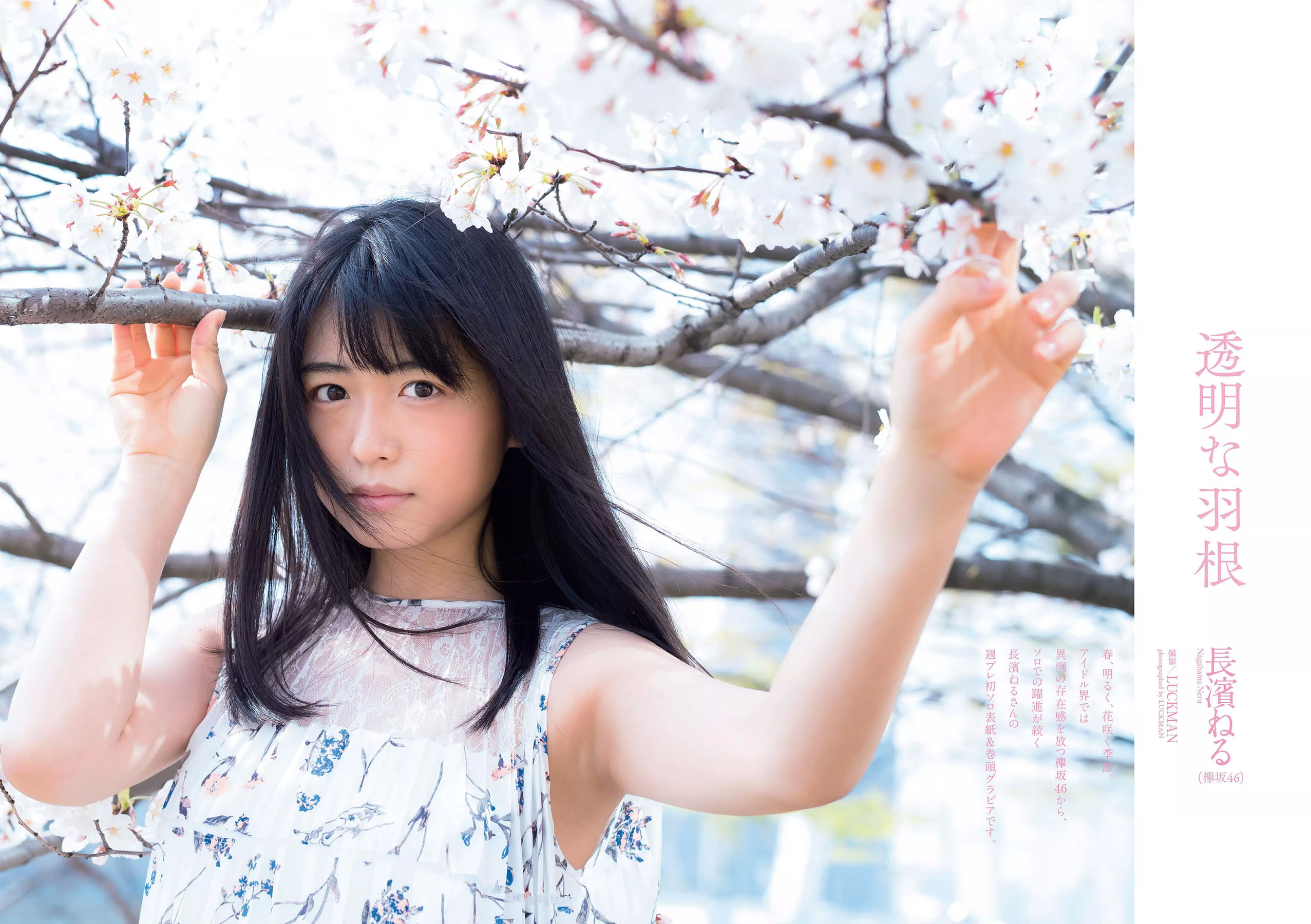 長濱ねる 沢すみれ 松田紗和 わちみなみ 本間日陽 齊藤英里 竹内佳菜子  2018年No.17 写真杂志-图1