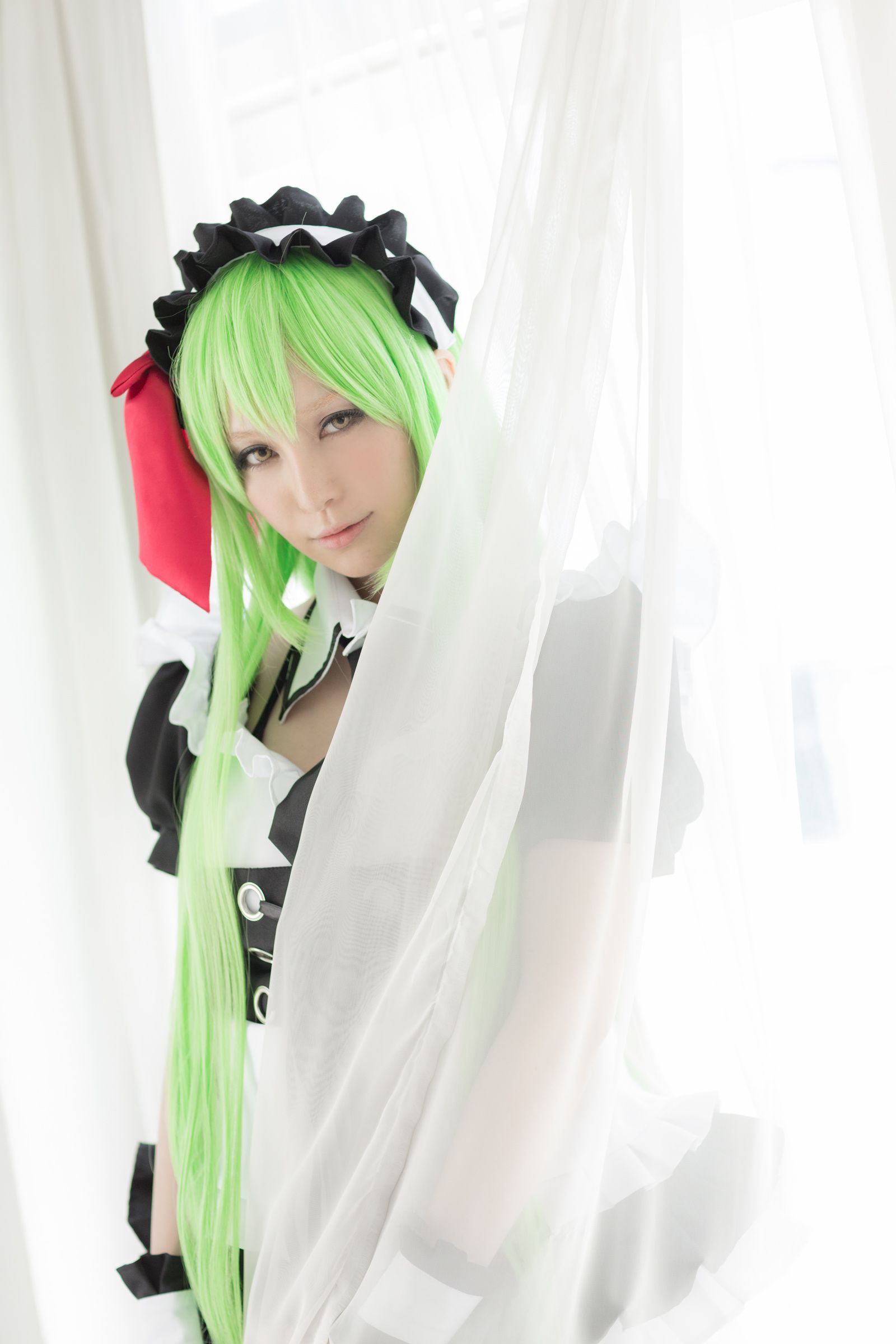 Aoi(葵) 《Code Geass》C.C-图42