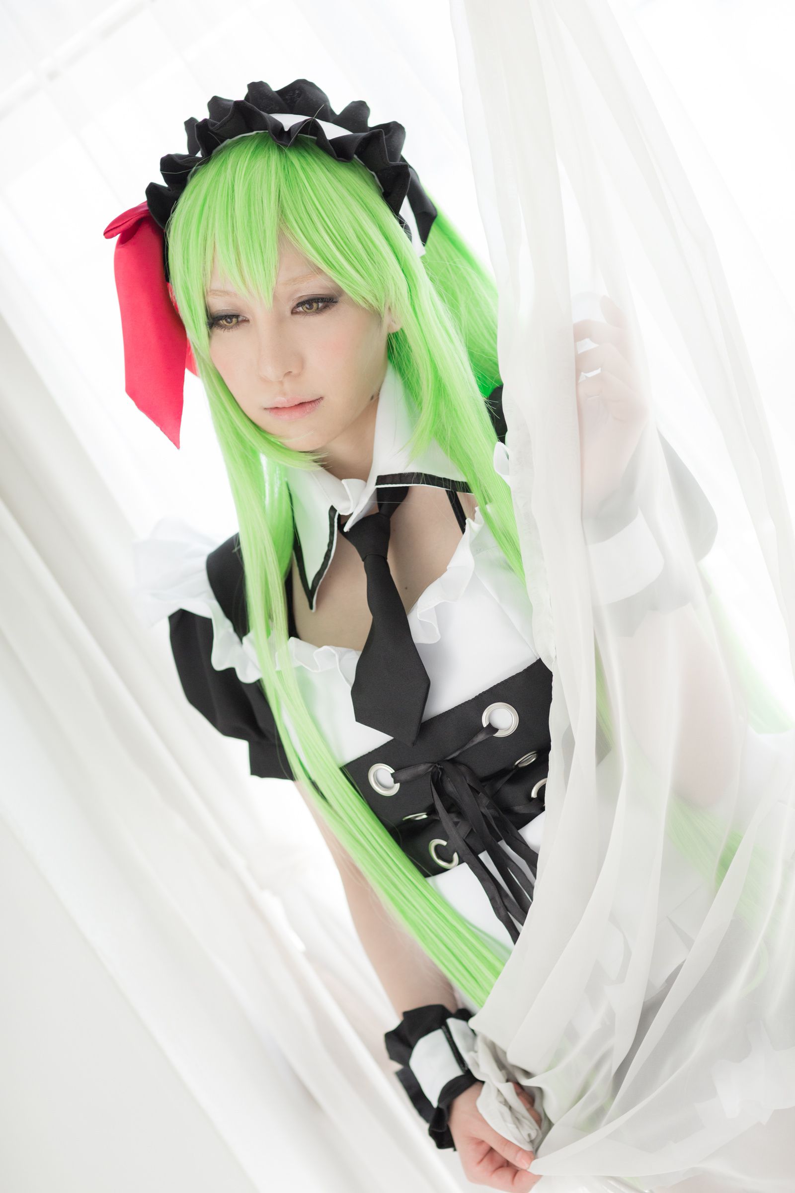 Aoi(葵) 《Code Geass》C.C-图45